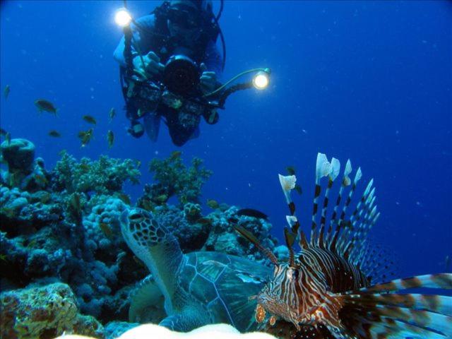 Photo 10