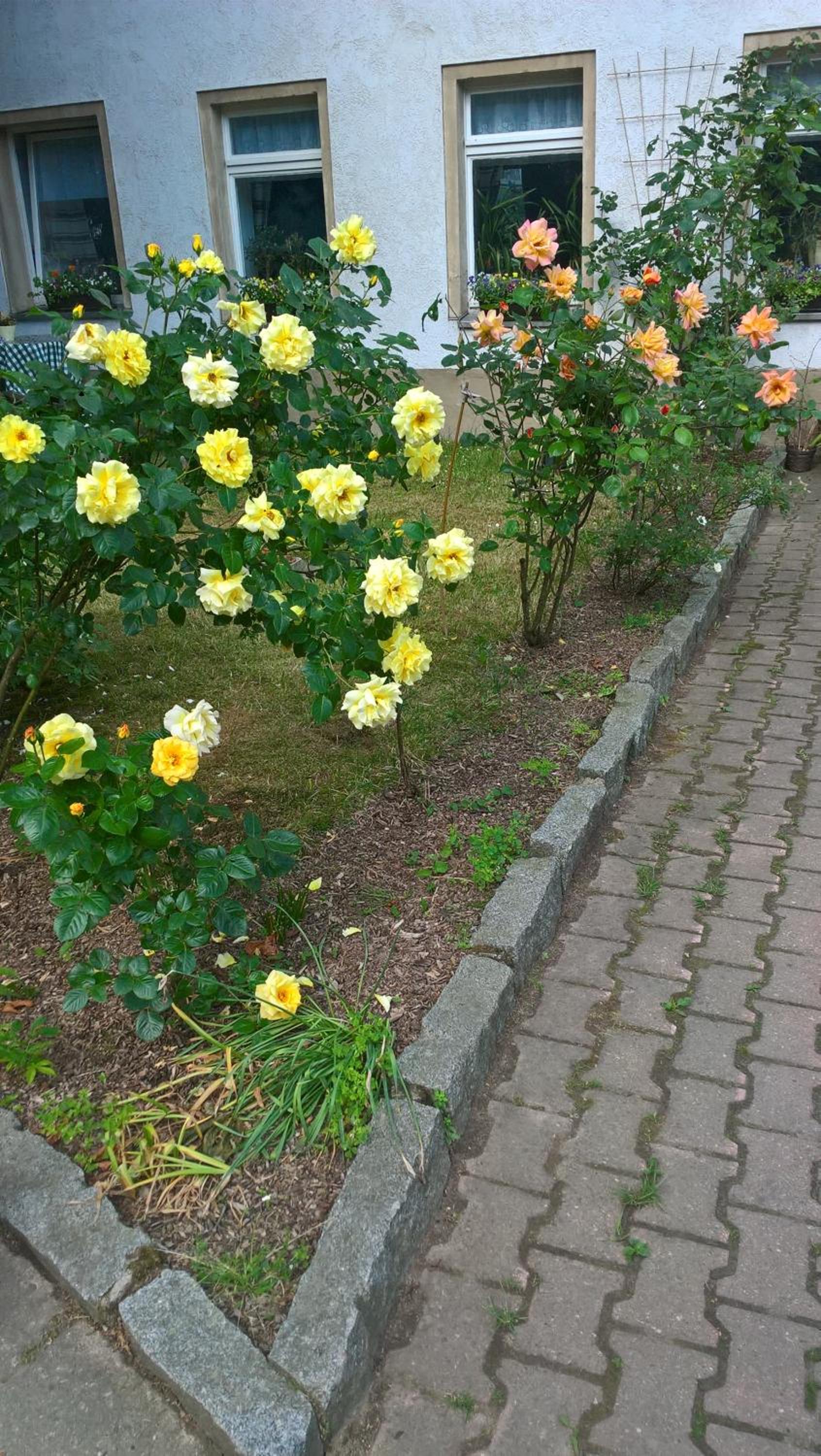 Landpension Haupt view 3
