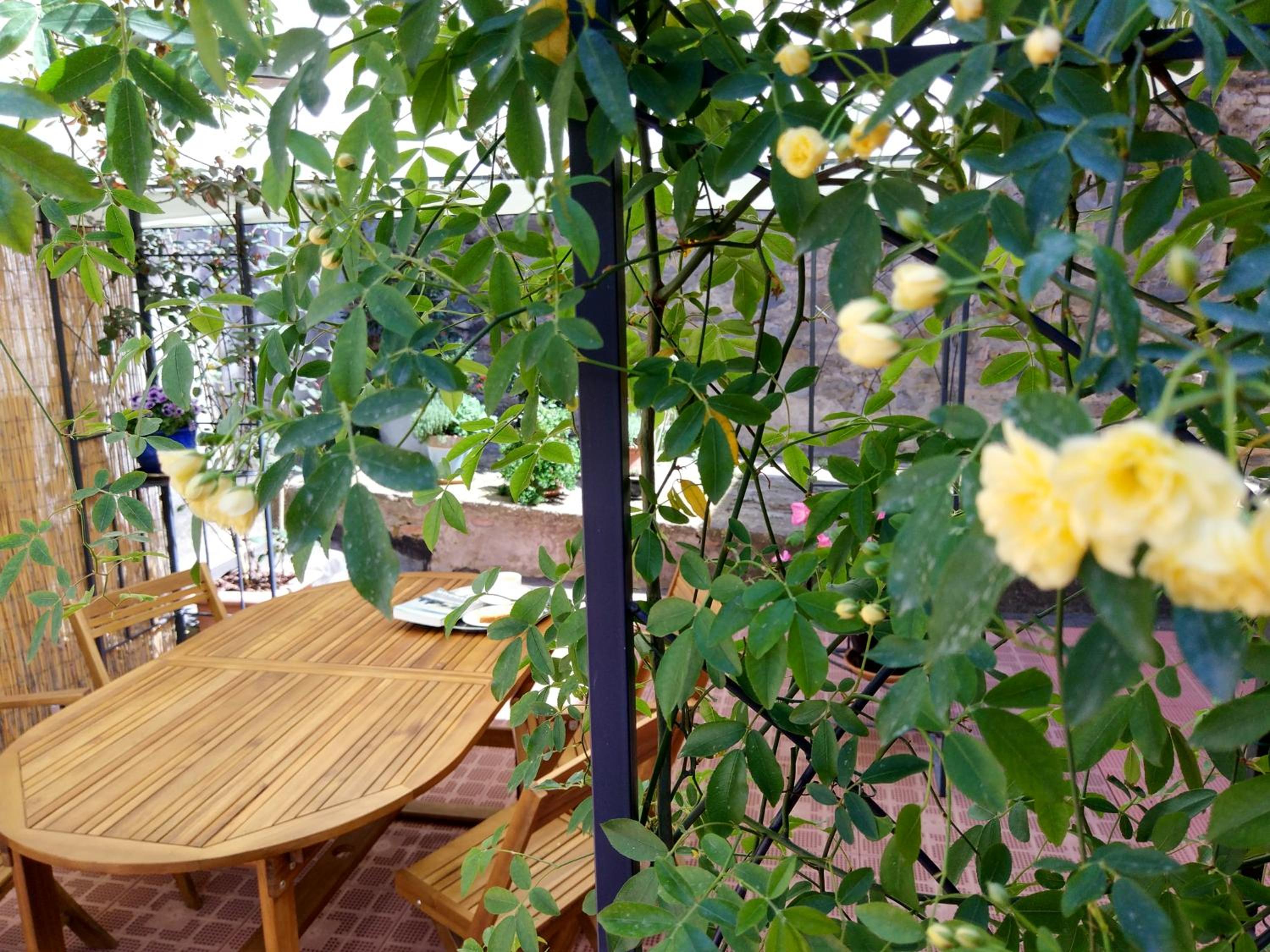 Casa "Le tre Muse" view 4