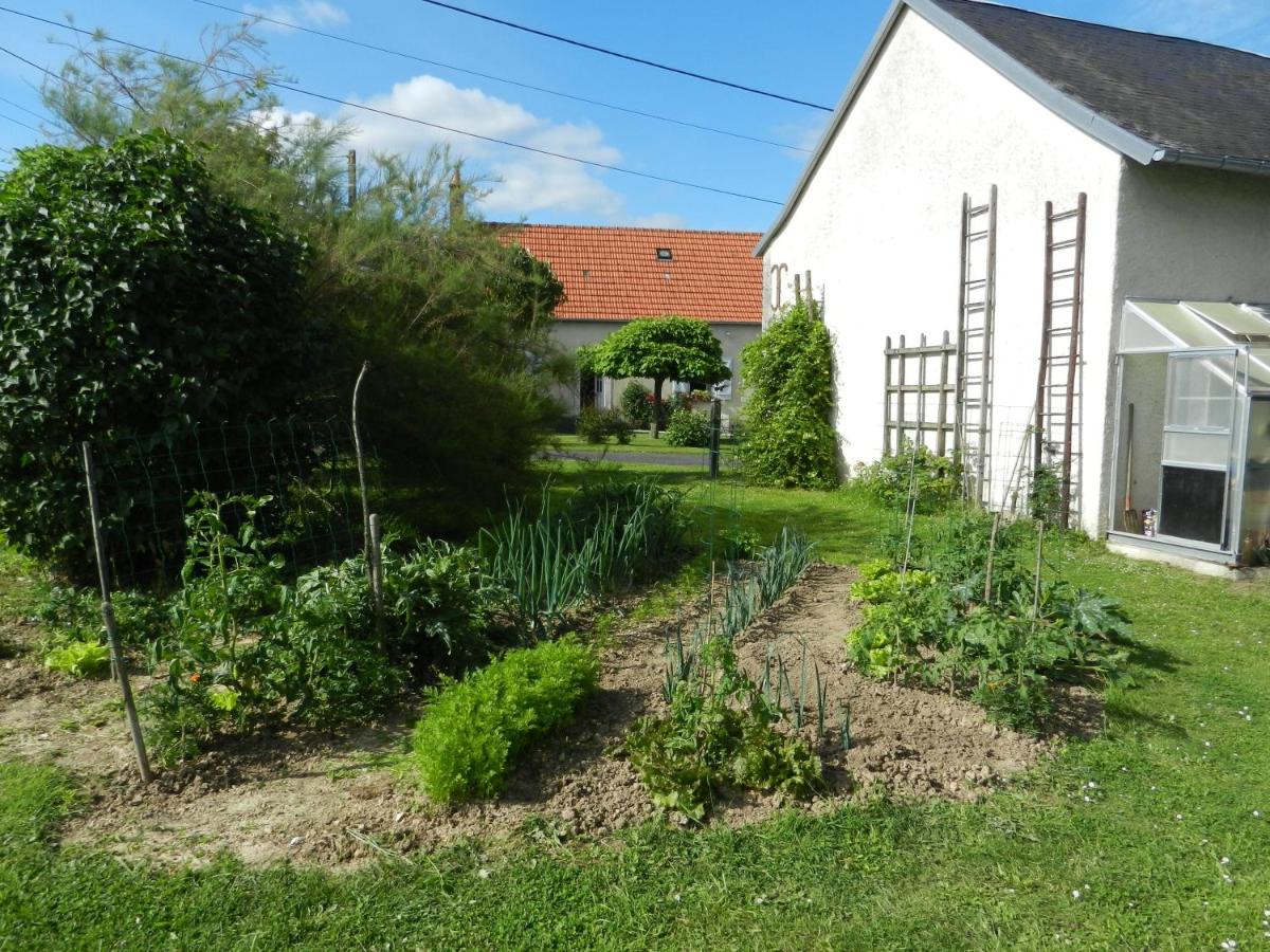 Photo 13