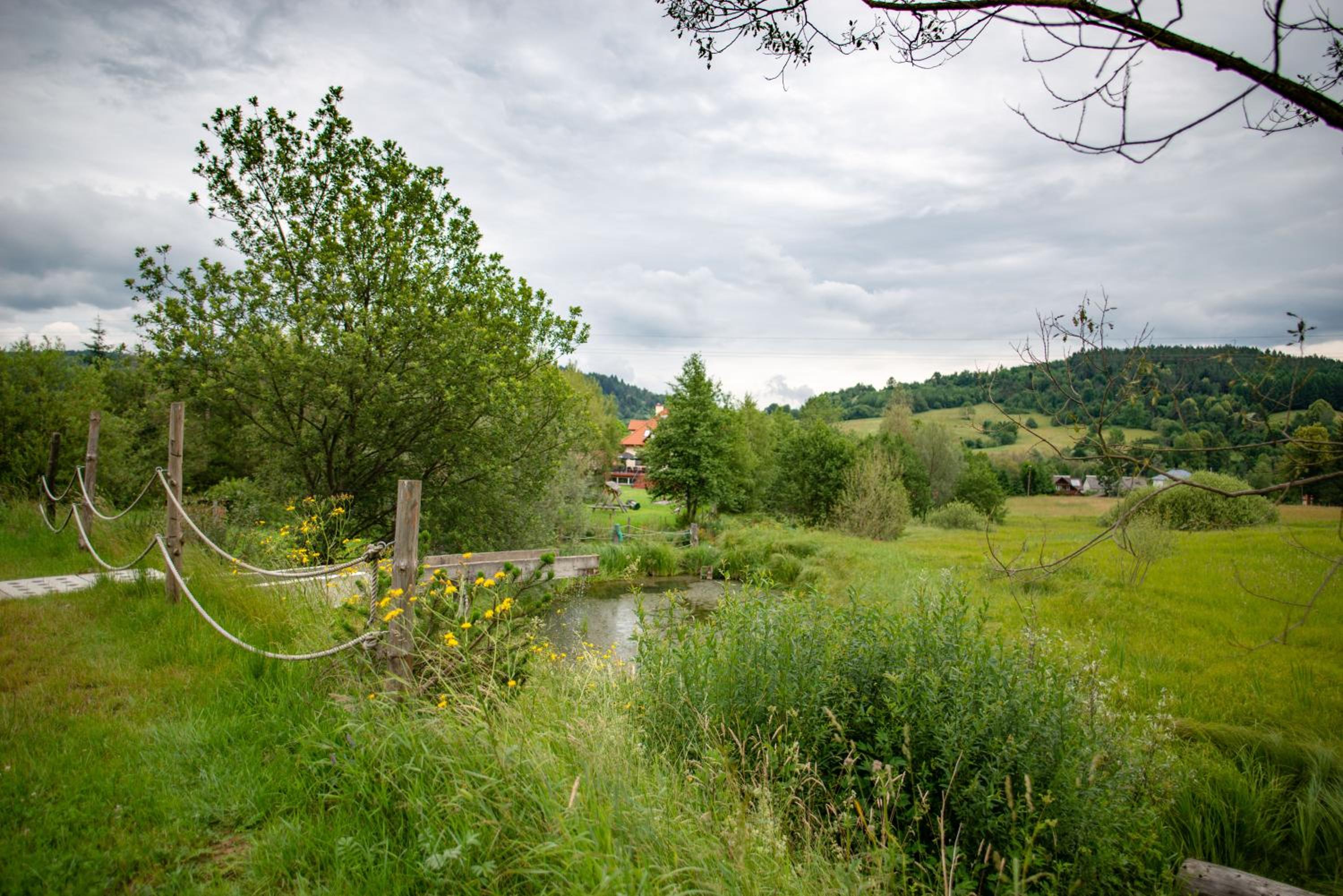 Photo 47