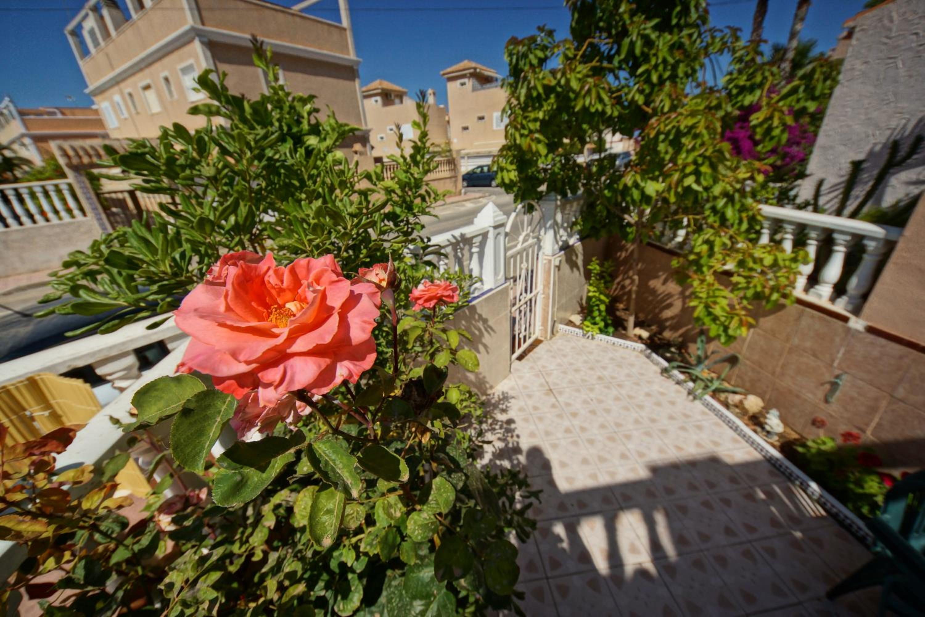 House of the Dream view 4