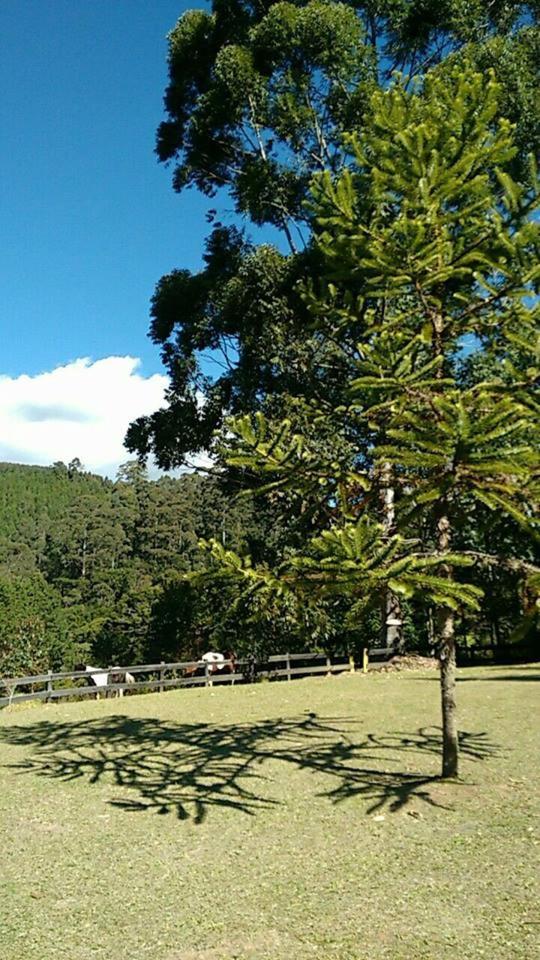 Caminho do Sol