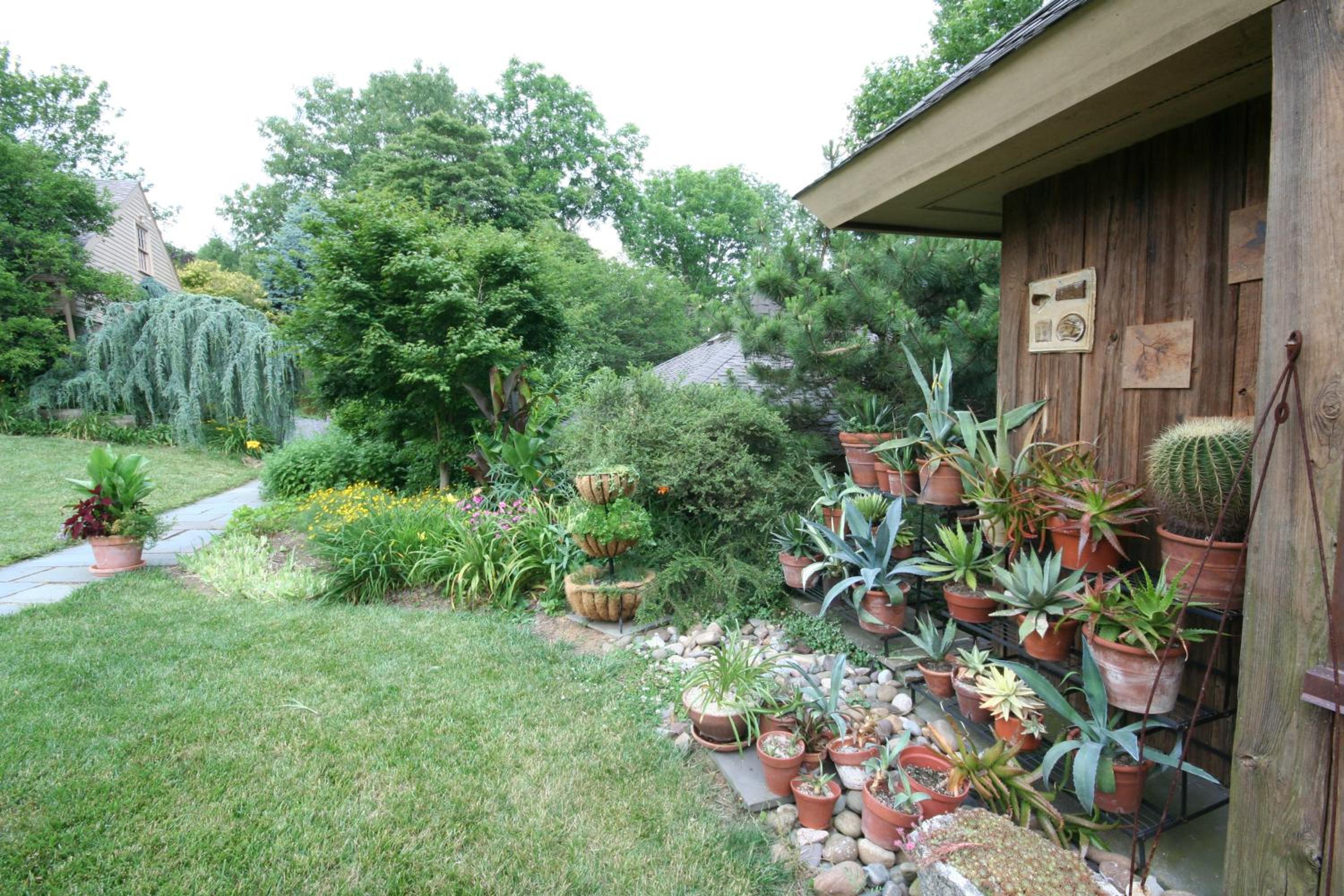 Photo 15