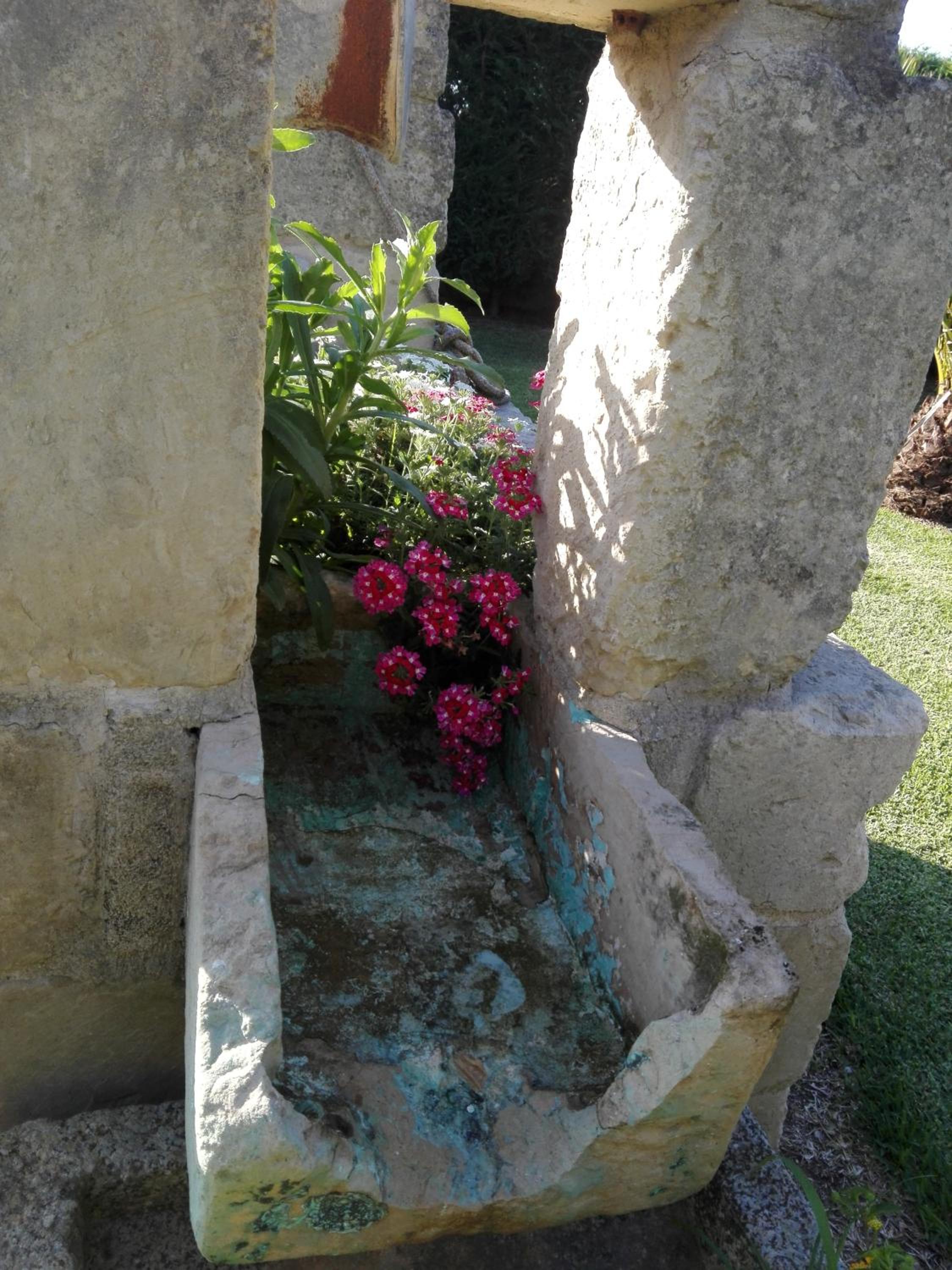 Photo 47