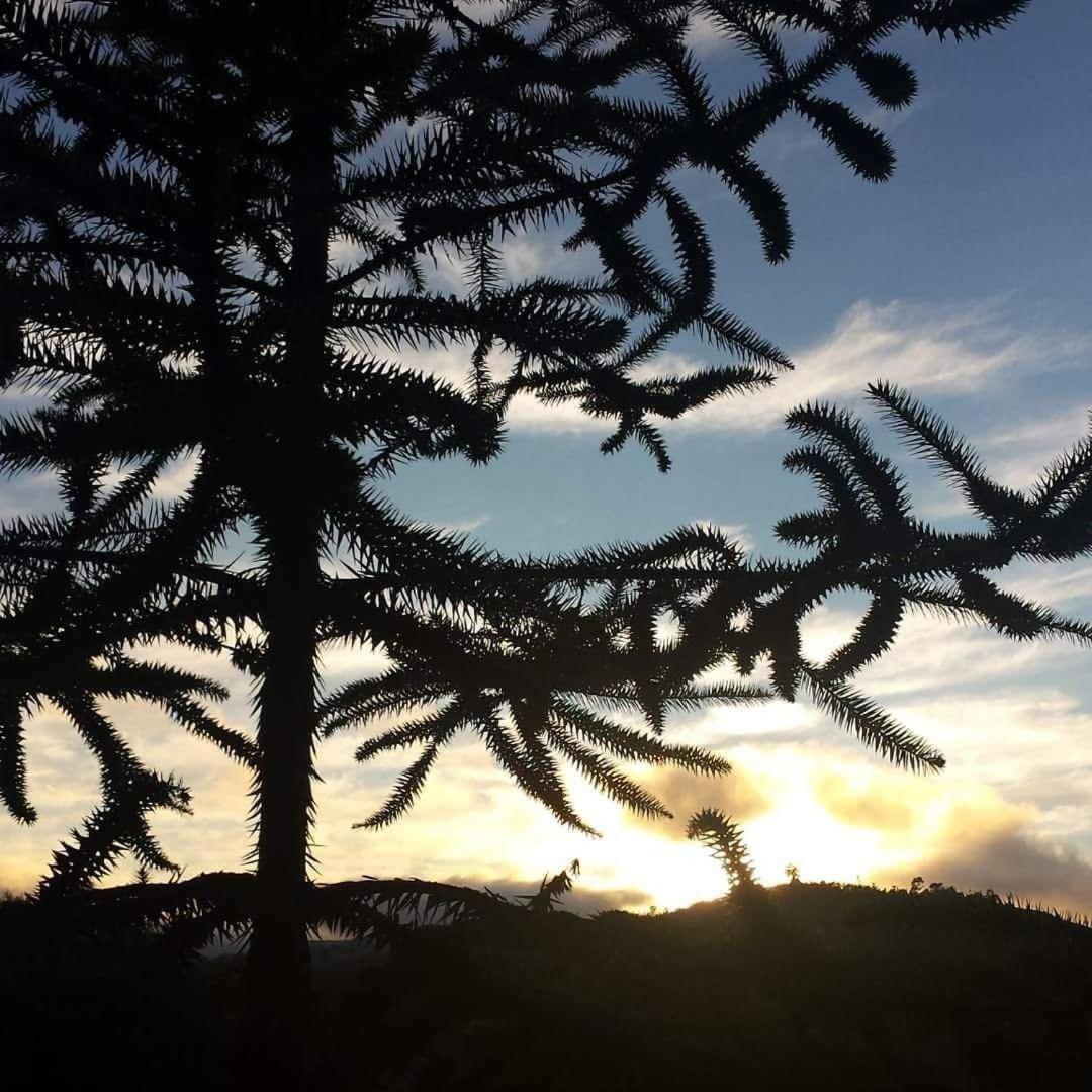 Caminho do Sol