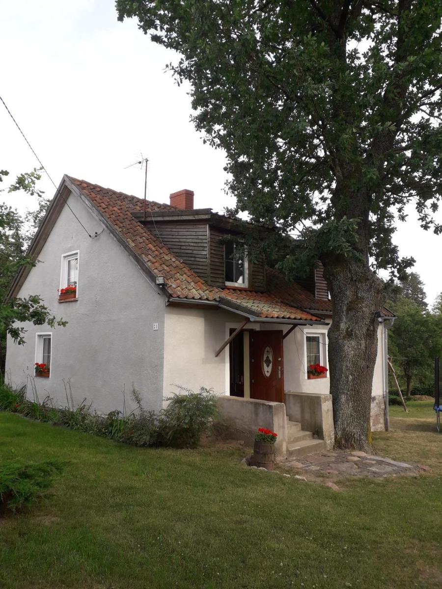 Photo 30