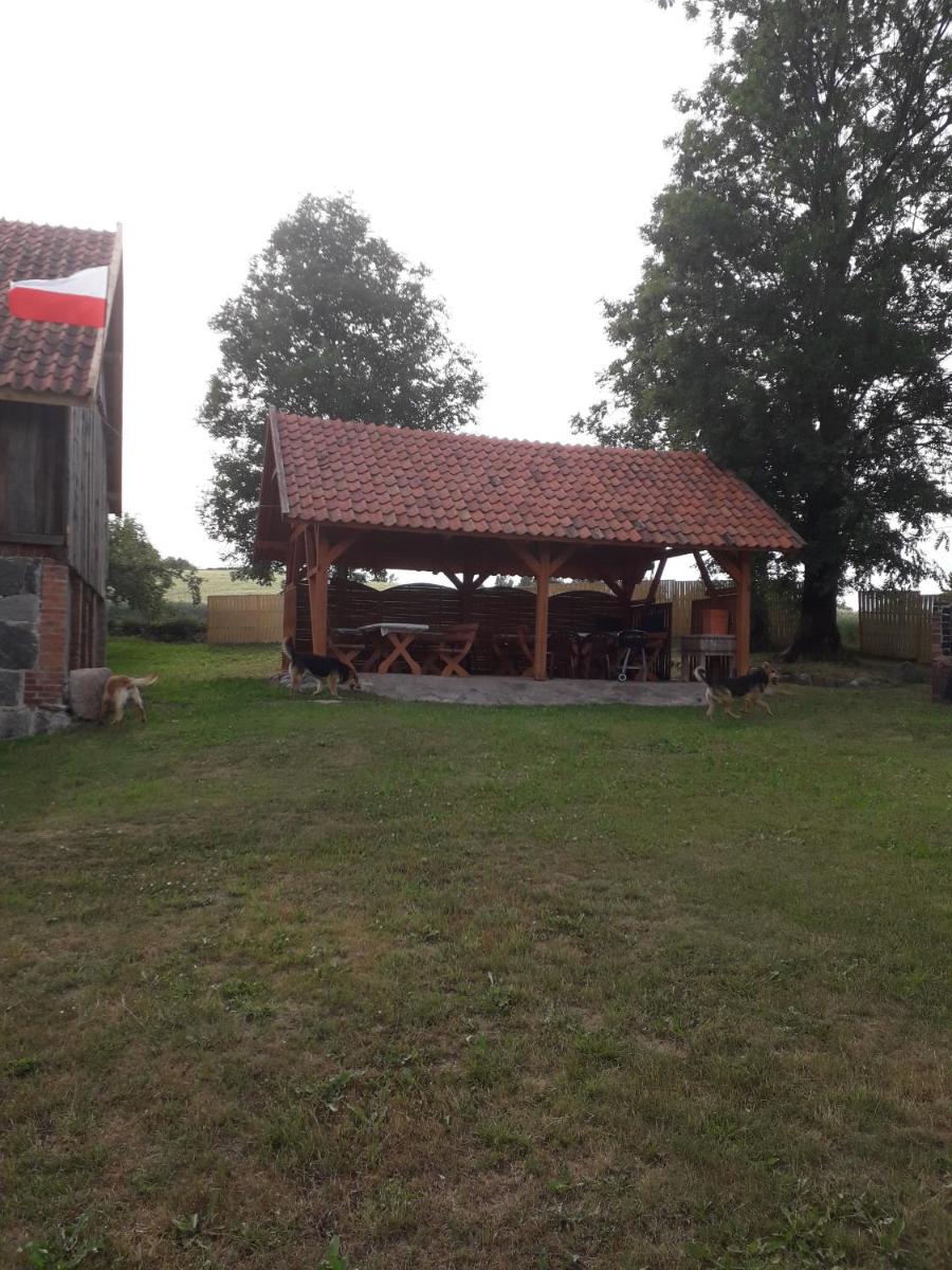 Photo 31
