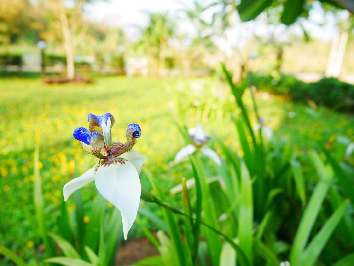 Photo 134