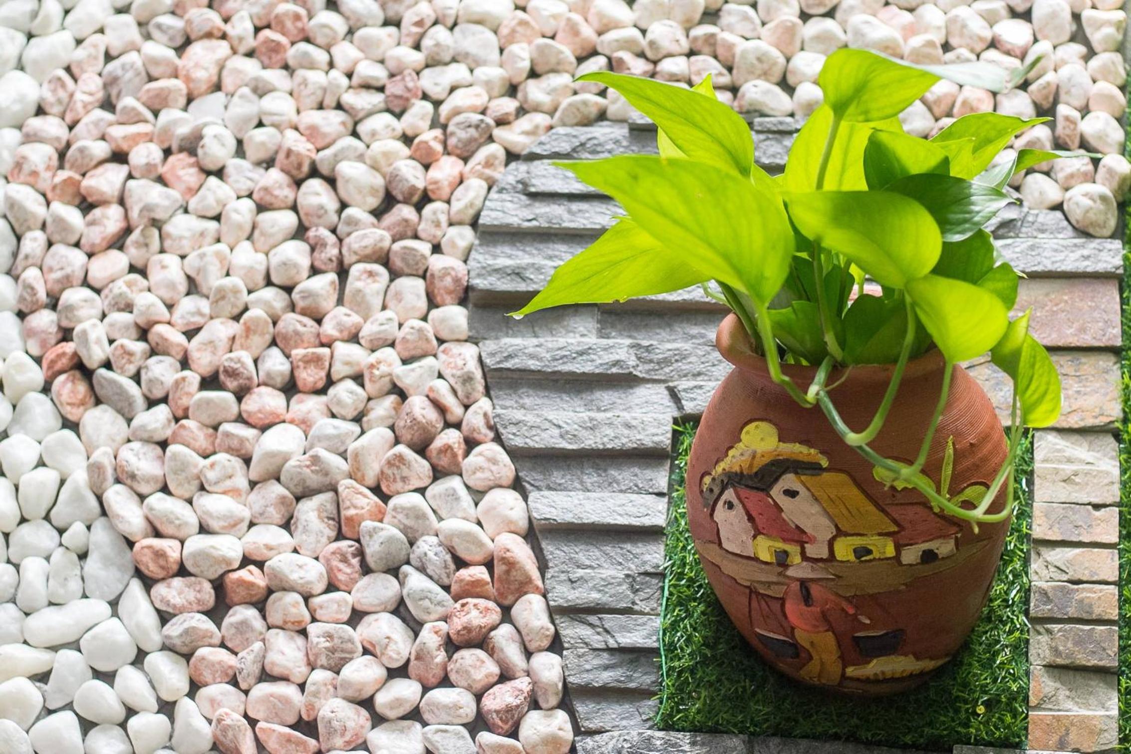 Bean Grass Homestay