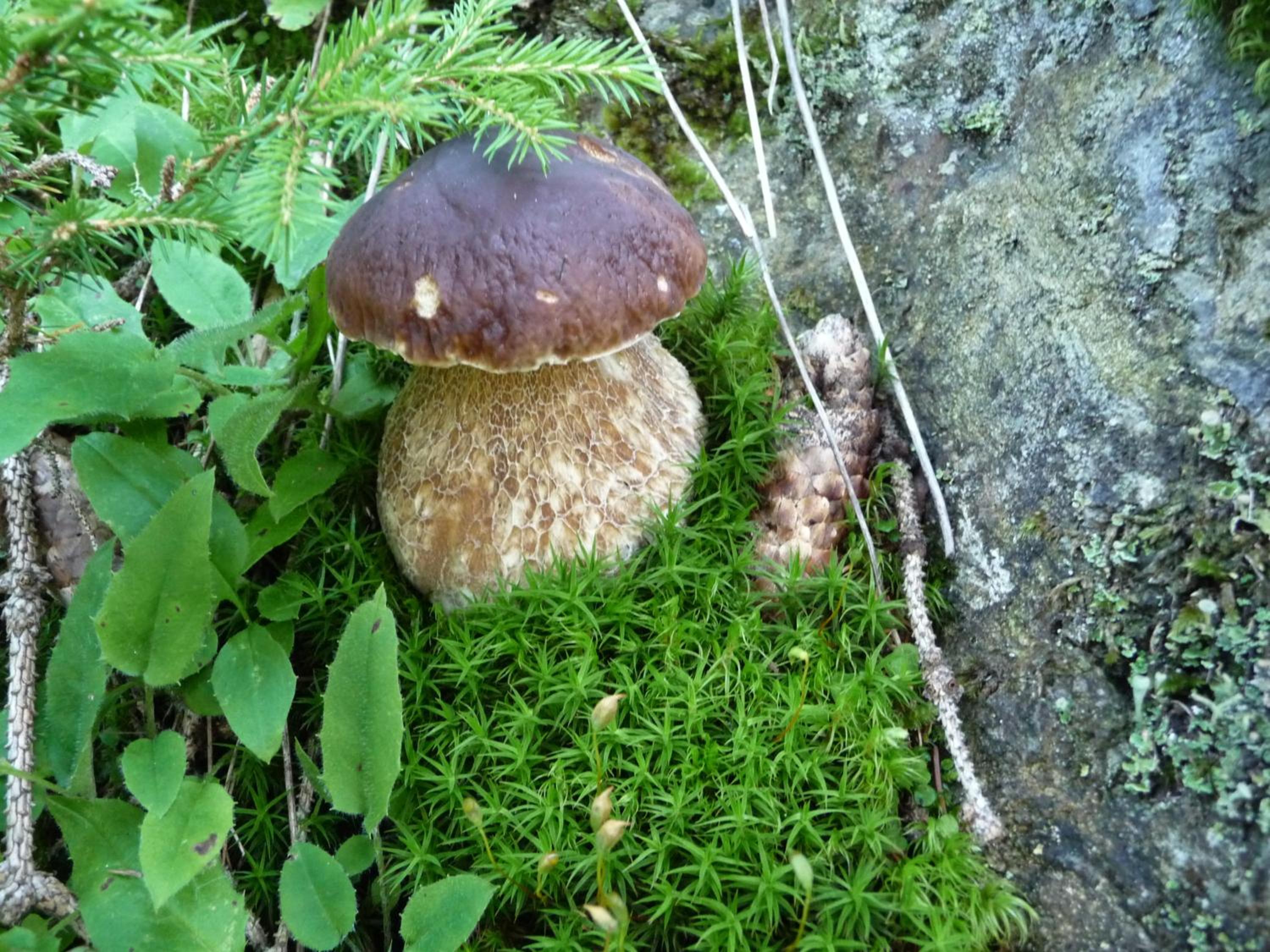 Photo 18
