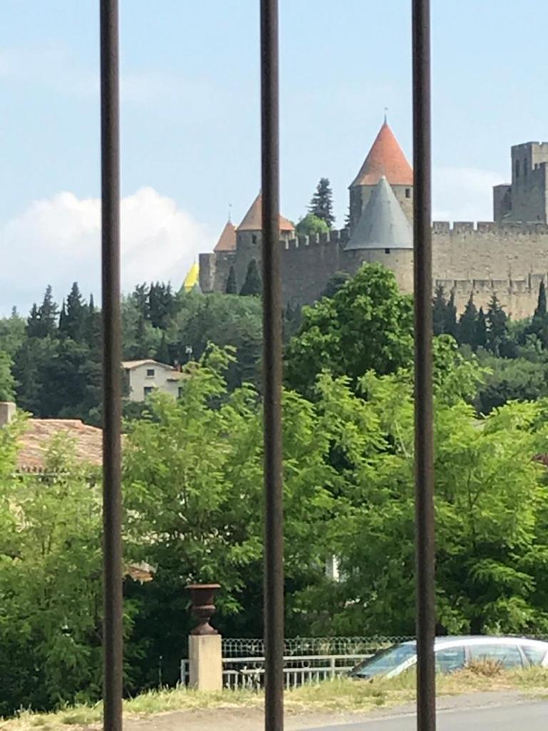 Carcassonne Vacations - L'Oree de la cite - Property Image 33