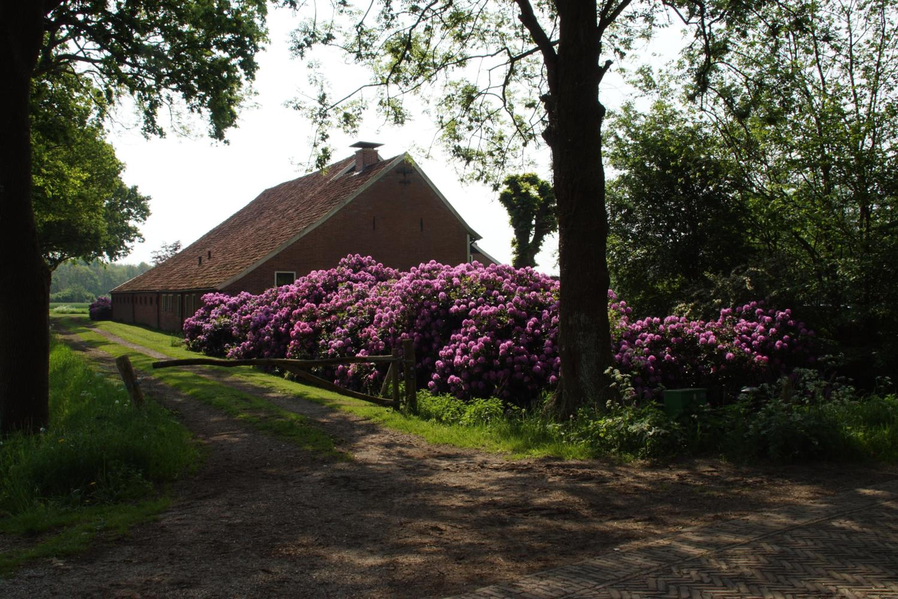 Huis Eedingh view 3