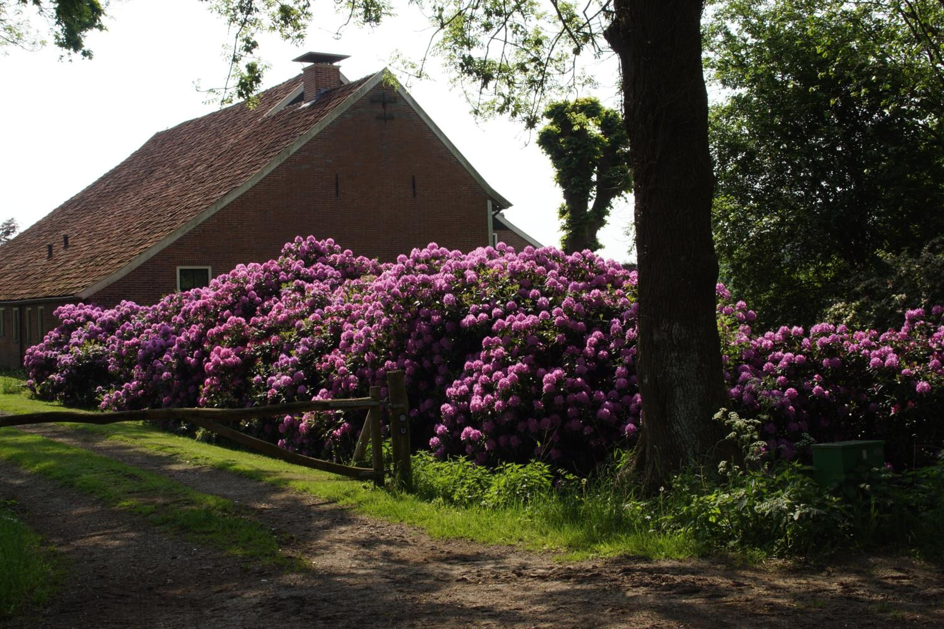 Photo 33
