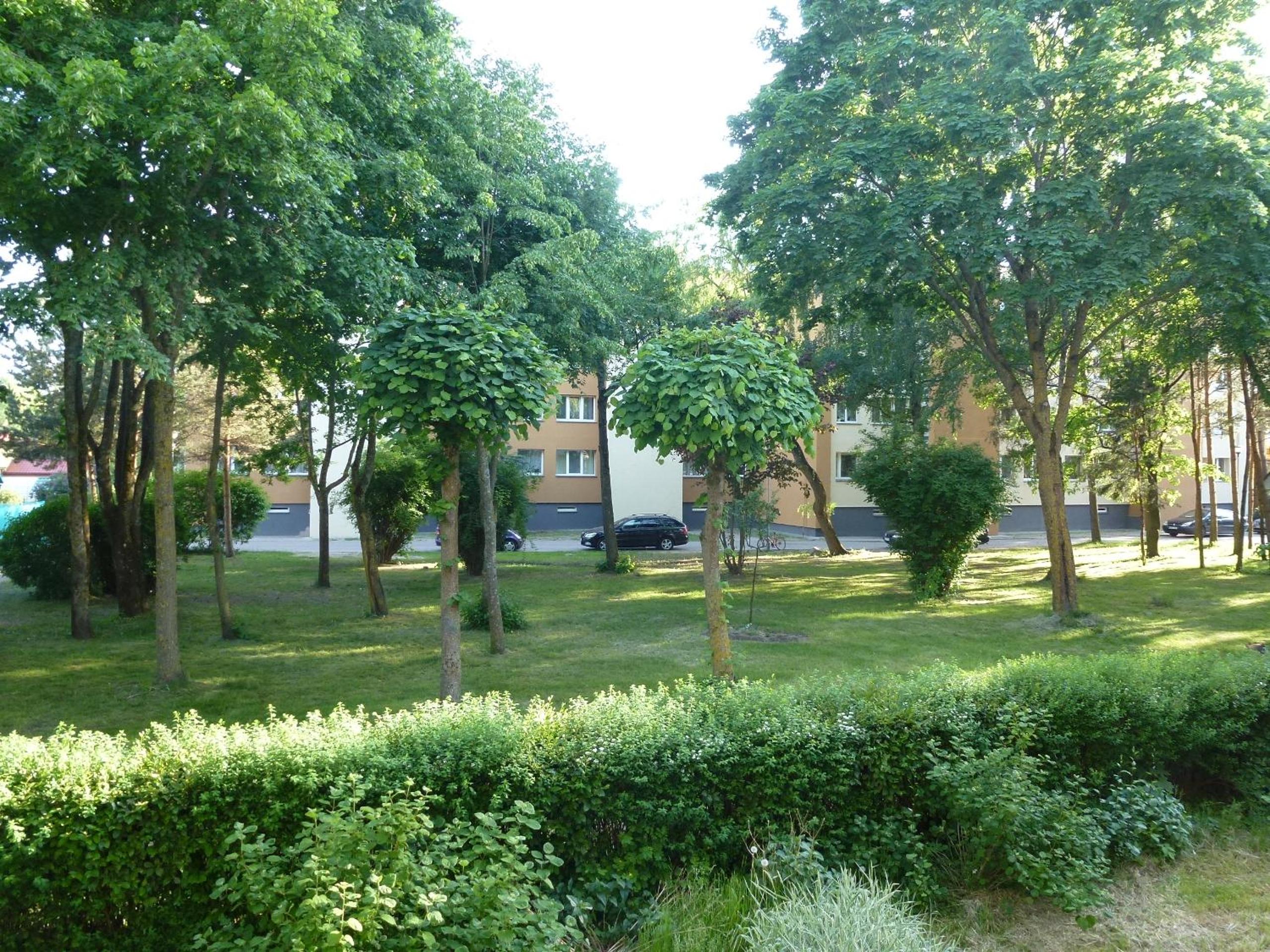 Studio Apartment "Balta"