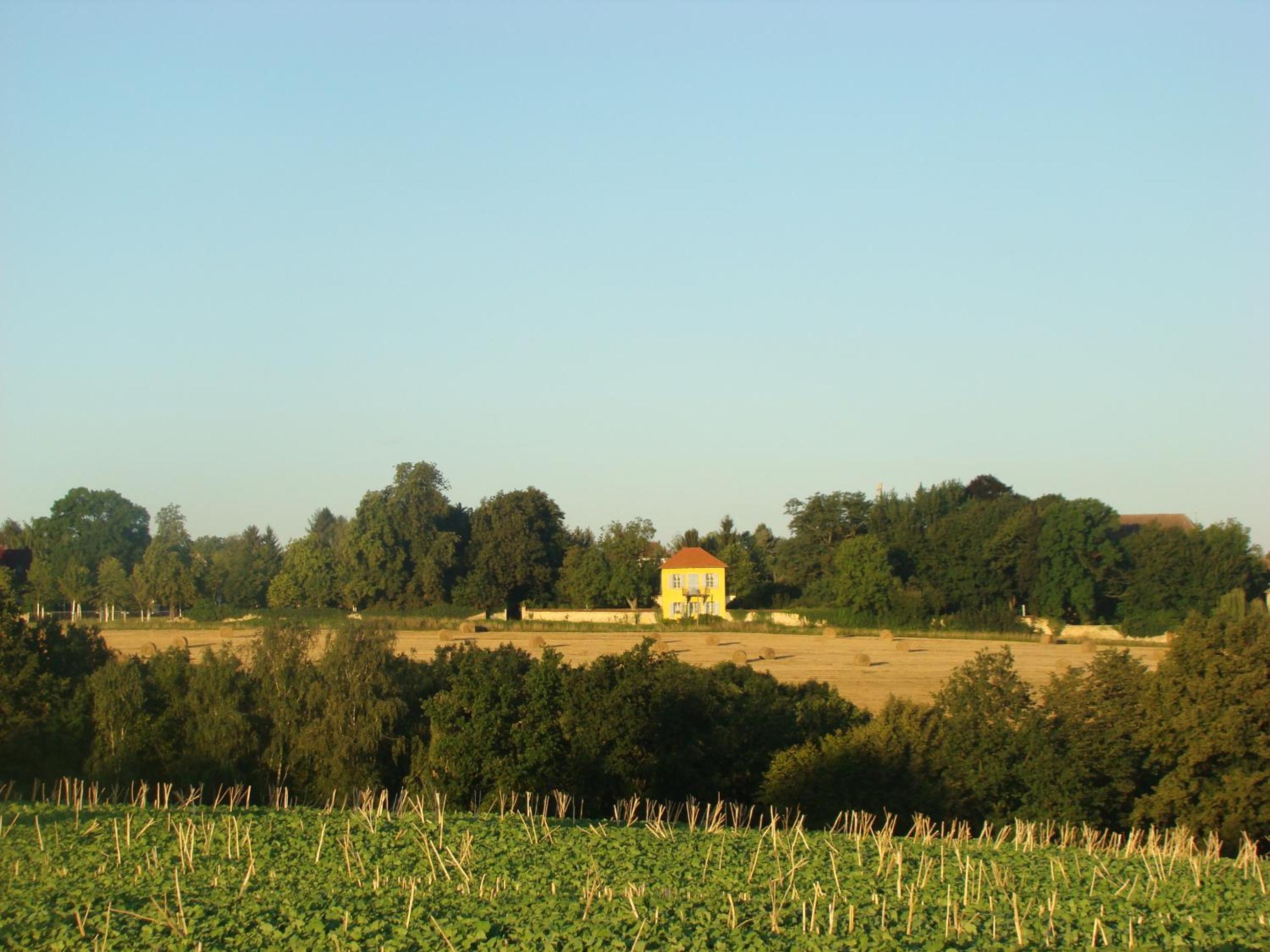 Photo 23