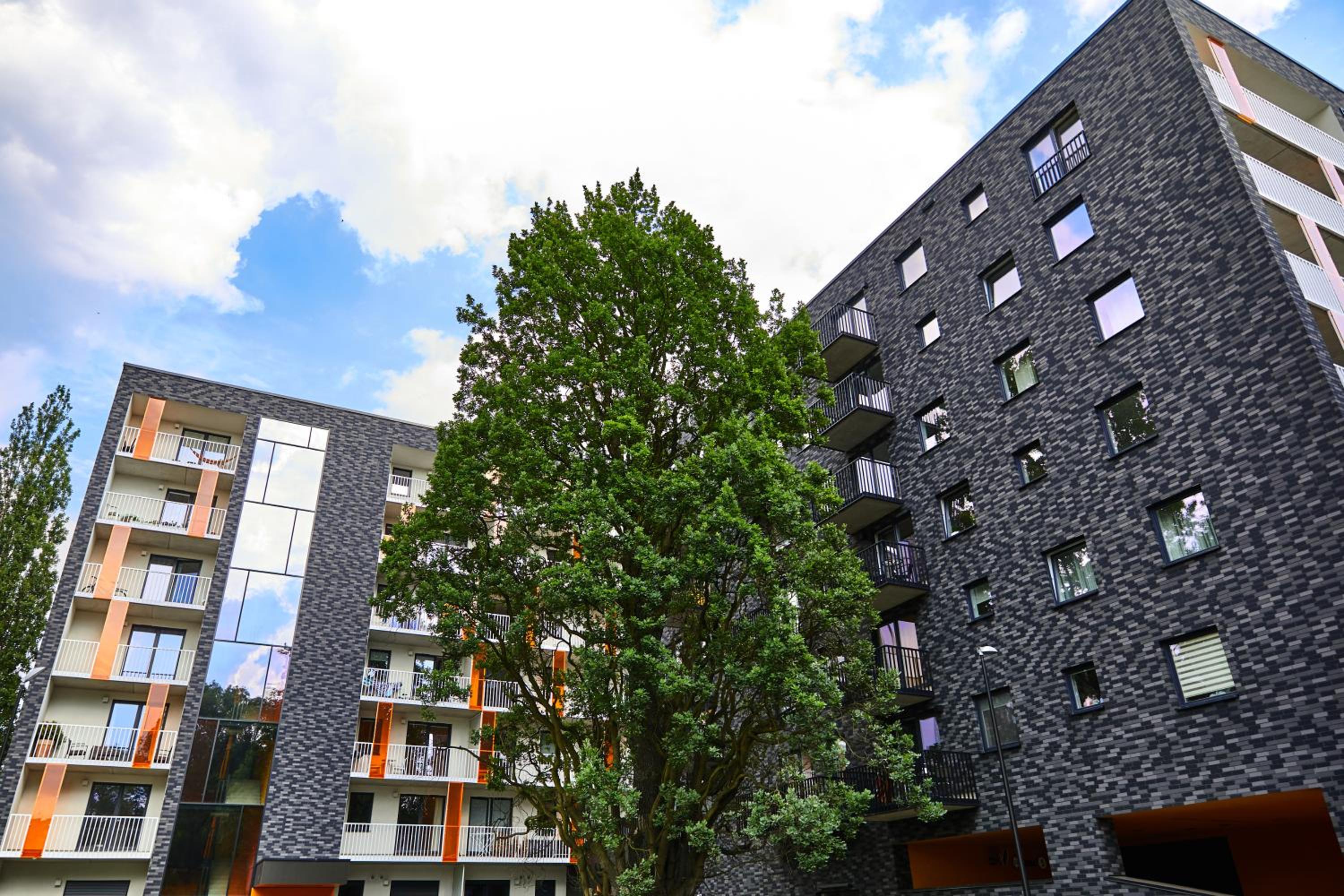 Mojito Apartments - Botanica II