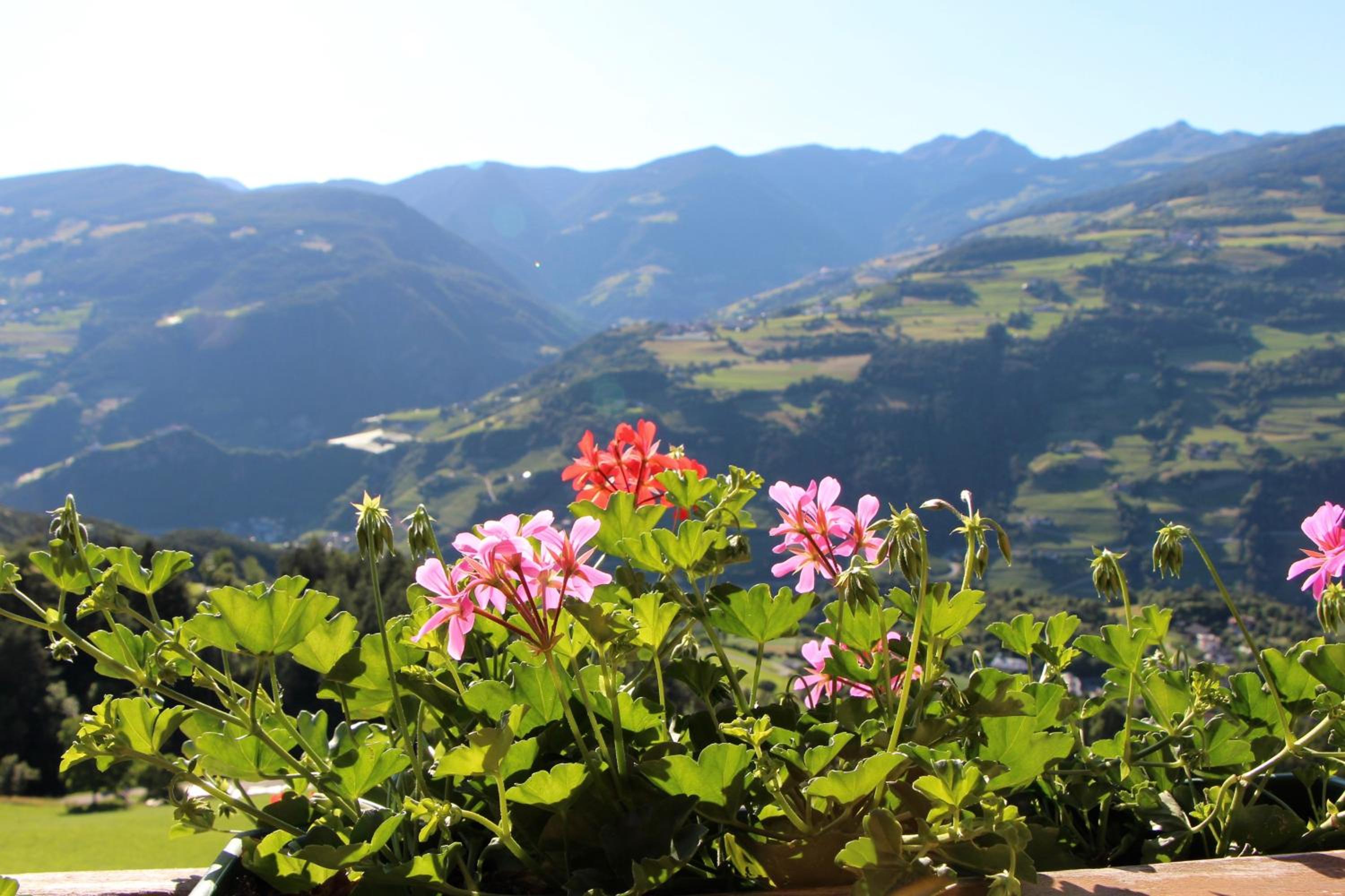 Spisserhof view 2