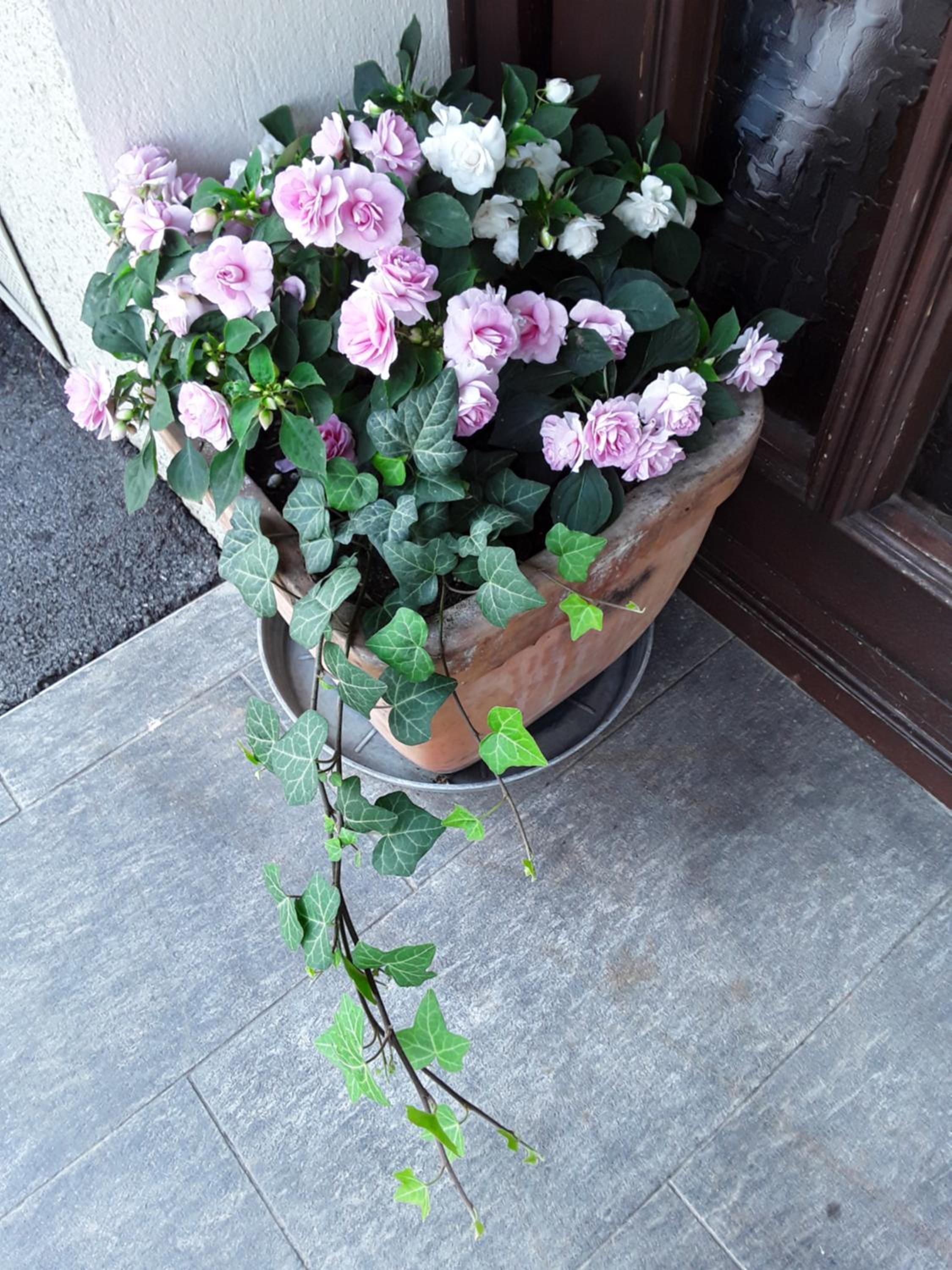 Photo 26