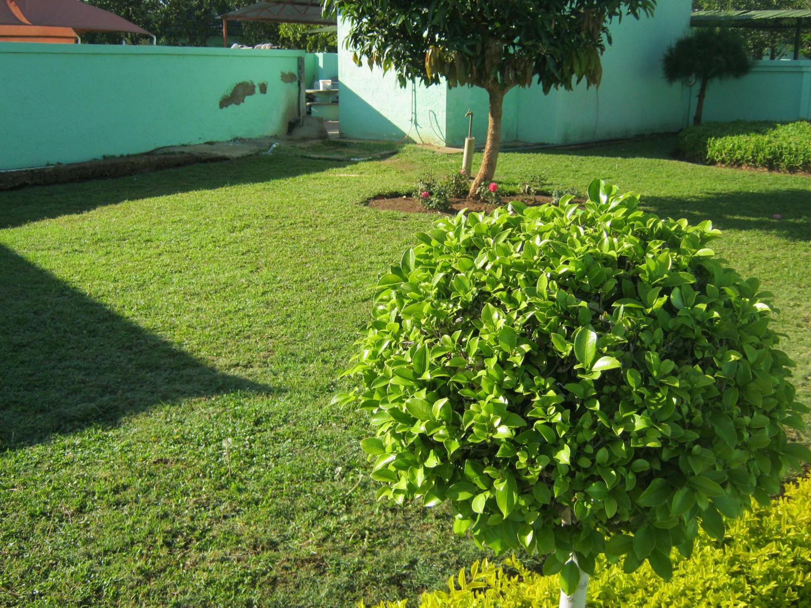 Photo 51