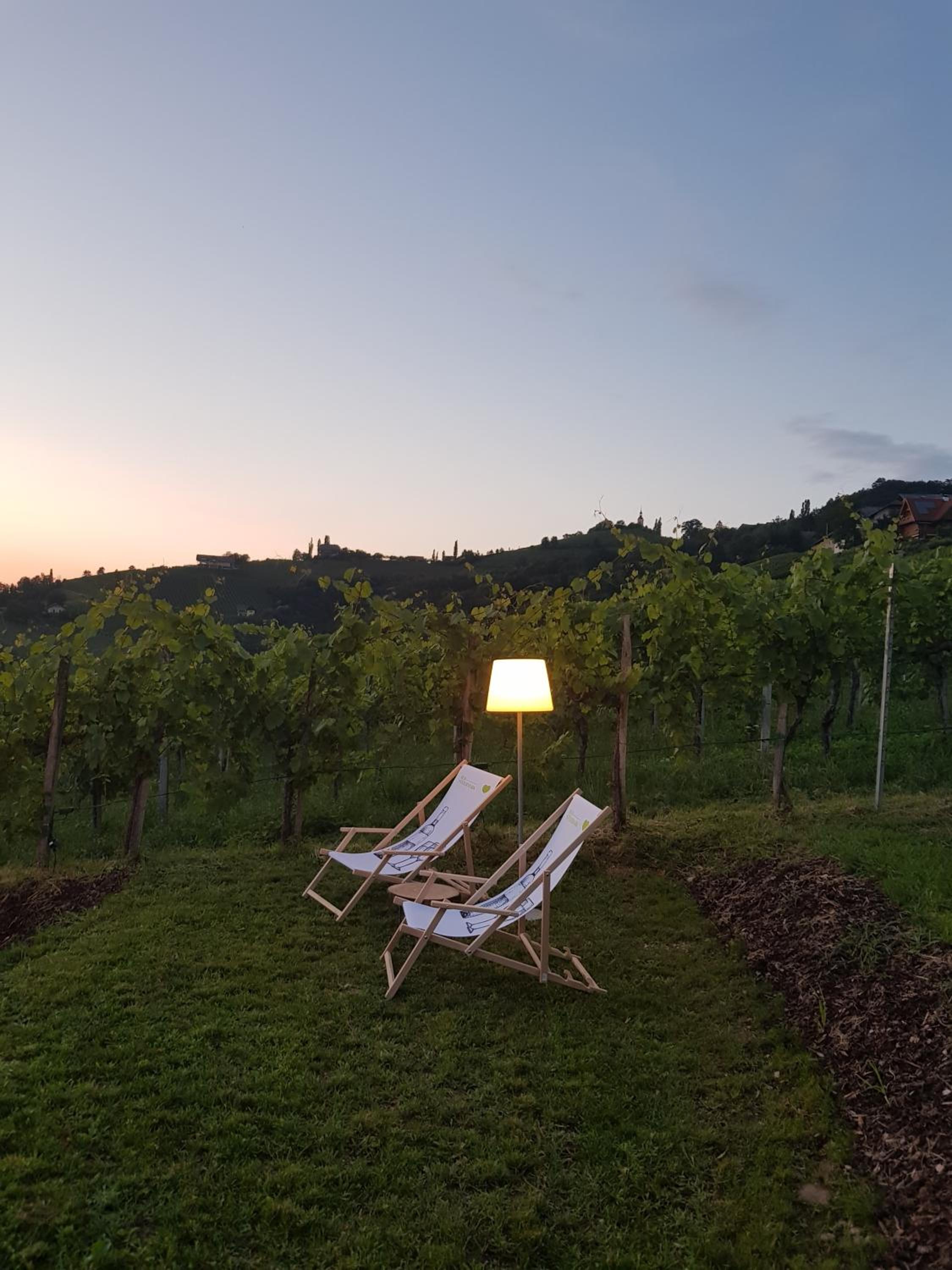 Weingut Reiterer