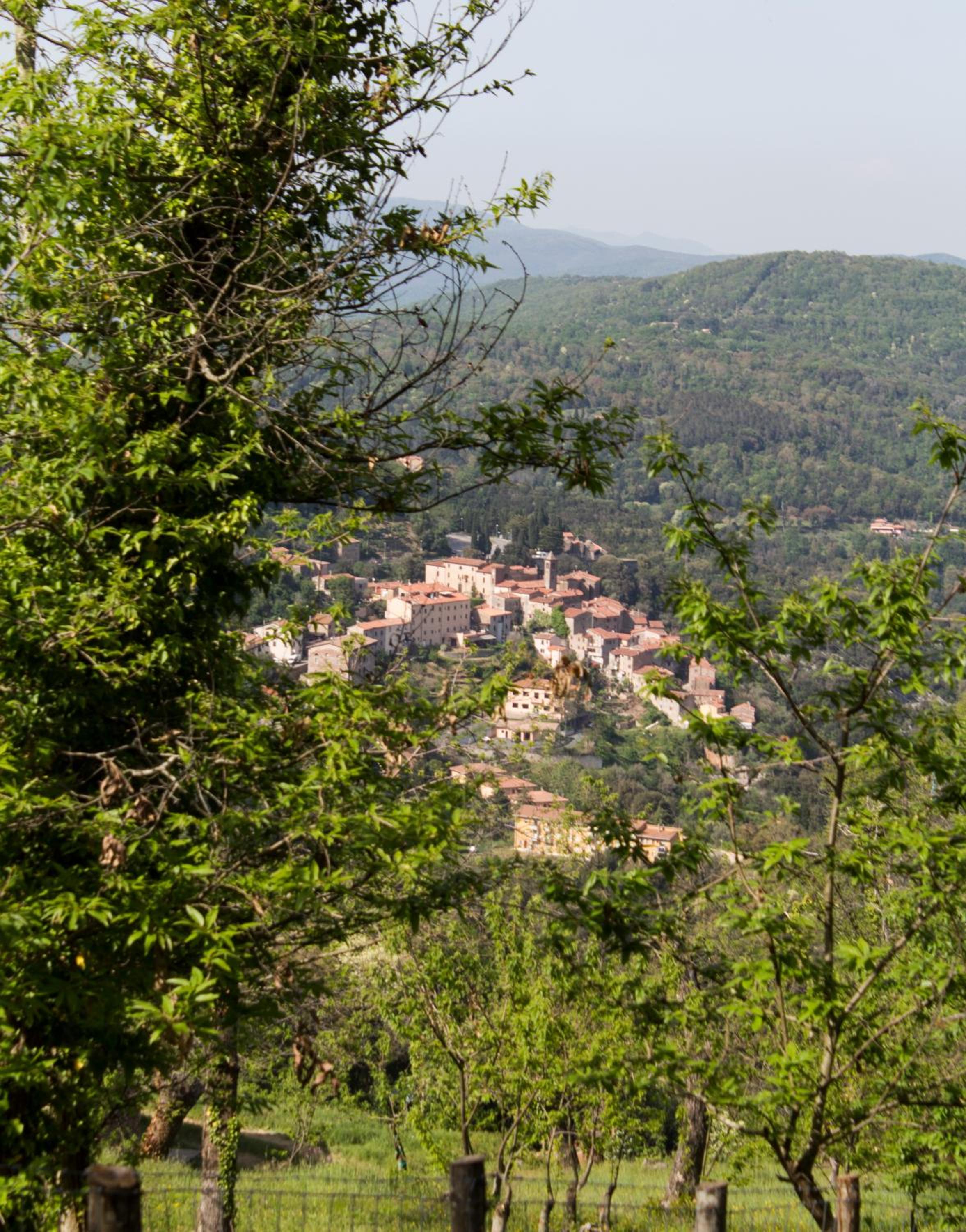Le Dame del Borgo