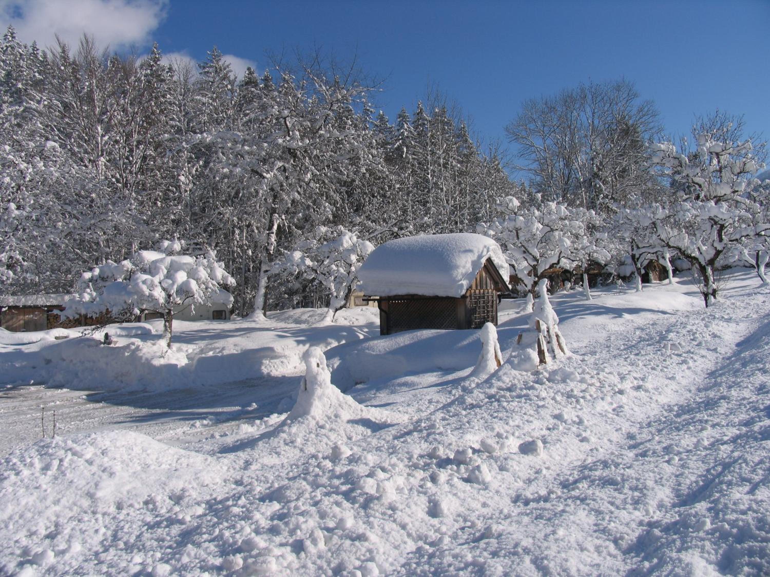 Gasthof Staud'nwirt