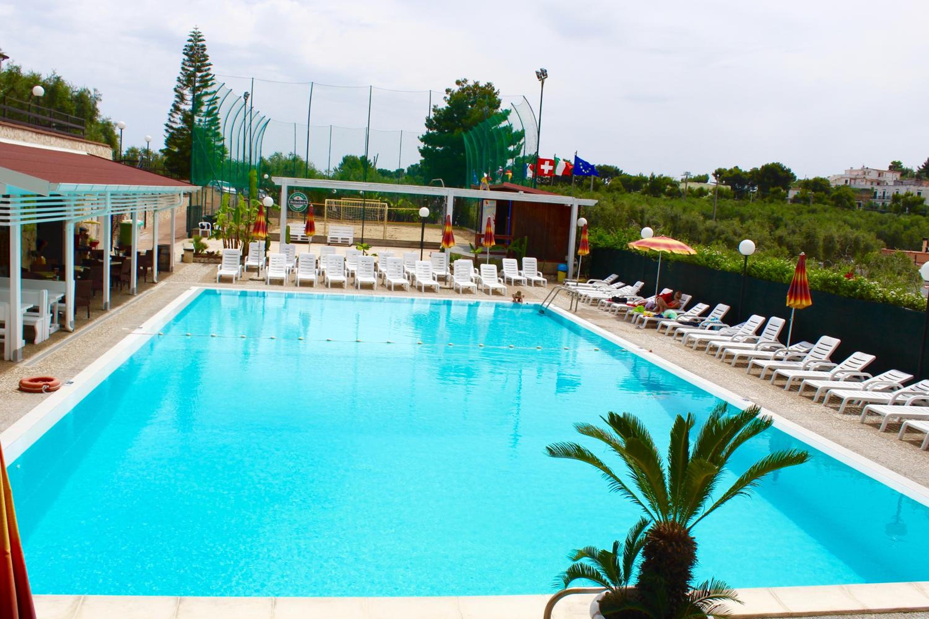 swimming pool