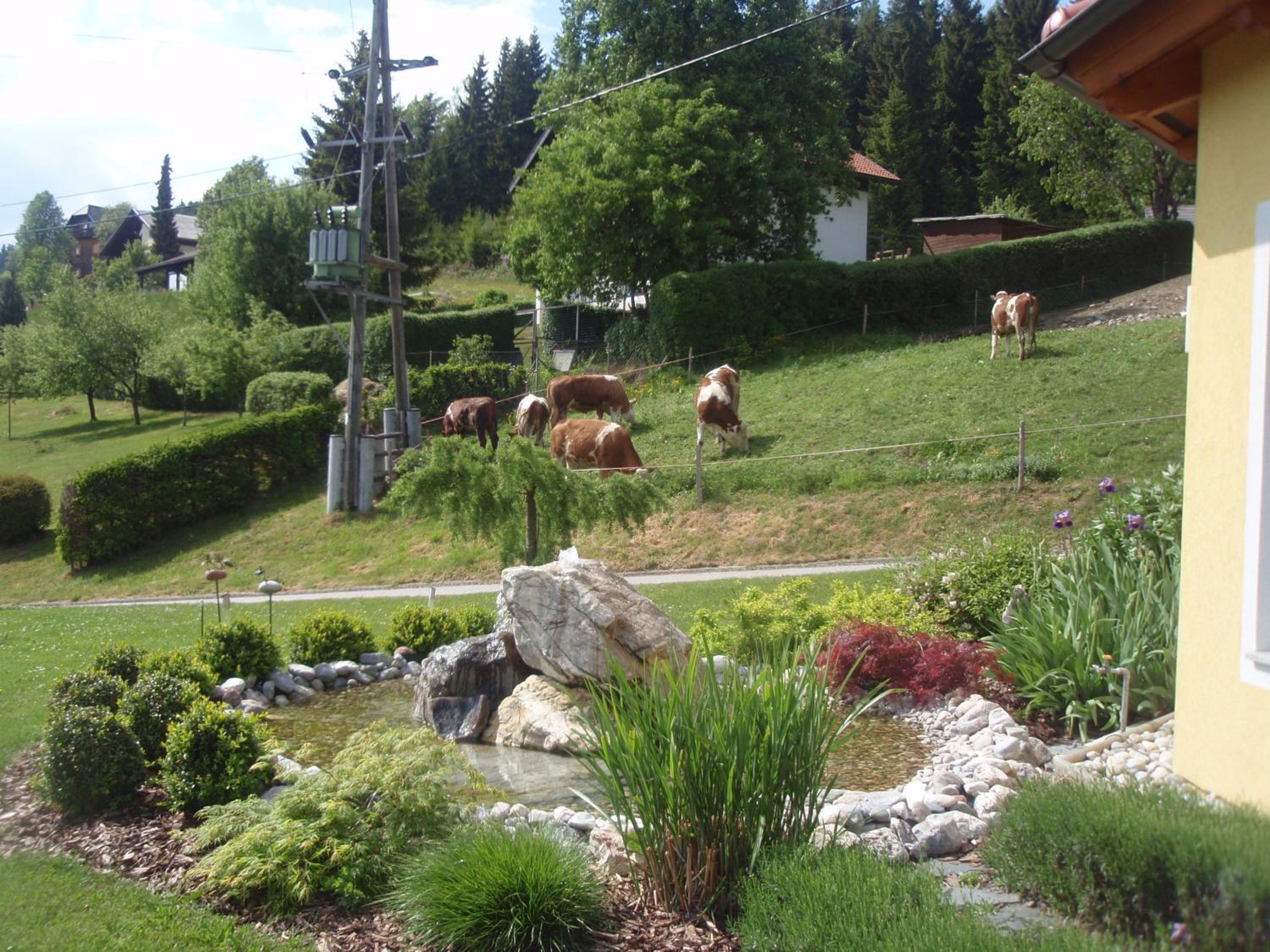 Pleschinhof