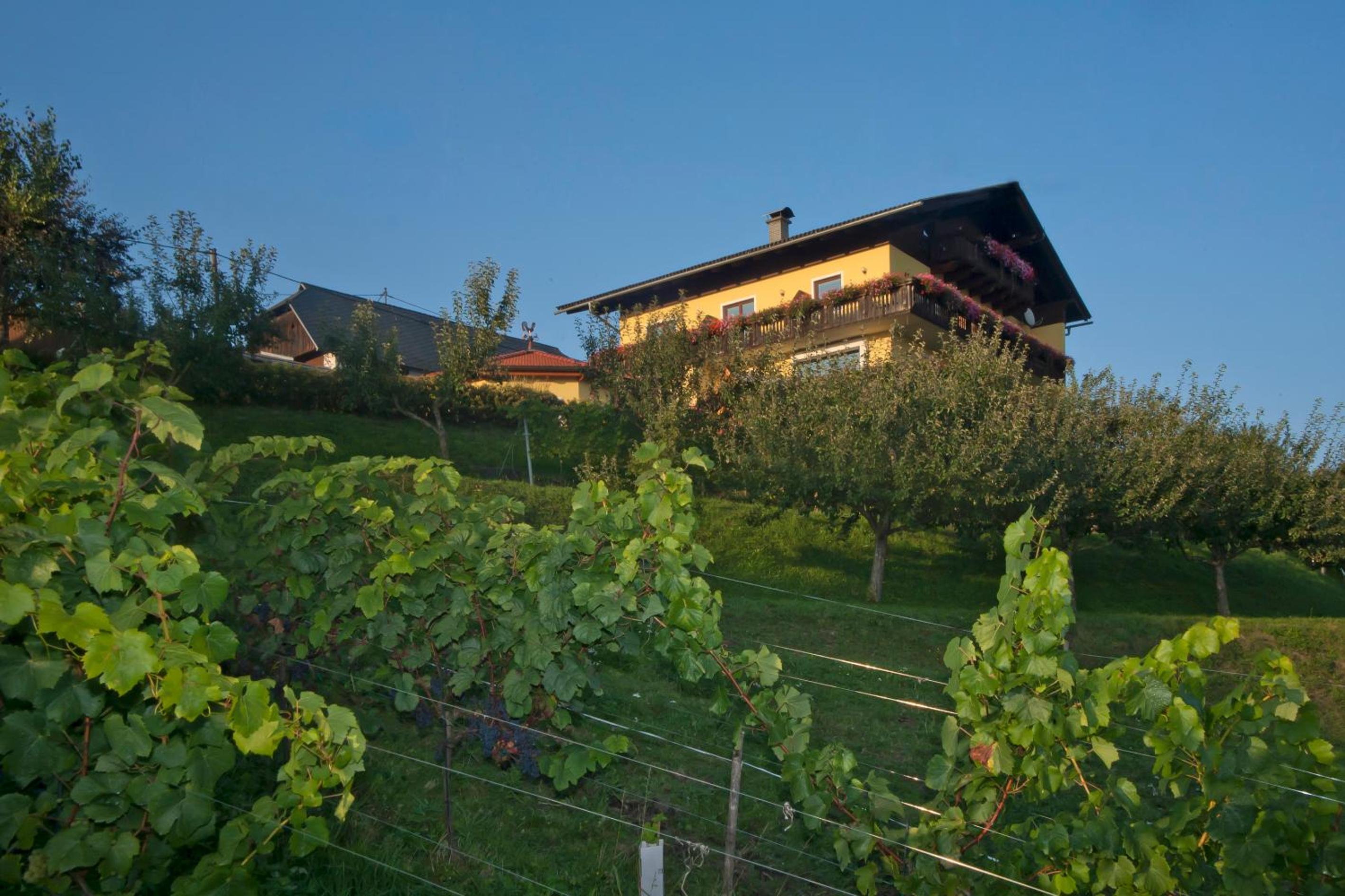 Pleschinhof