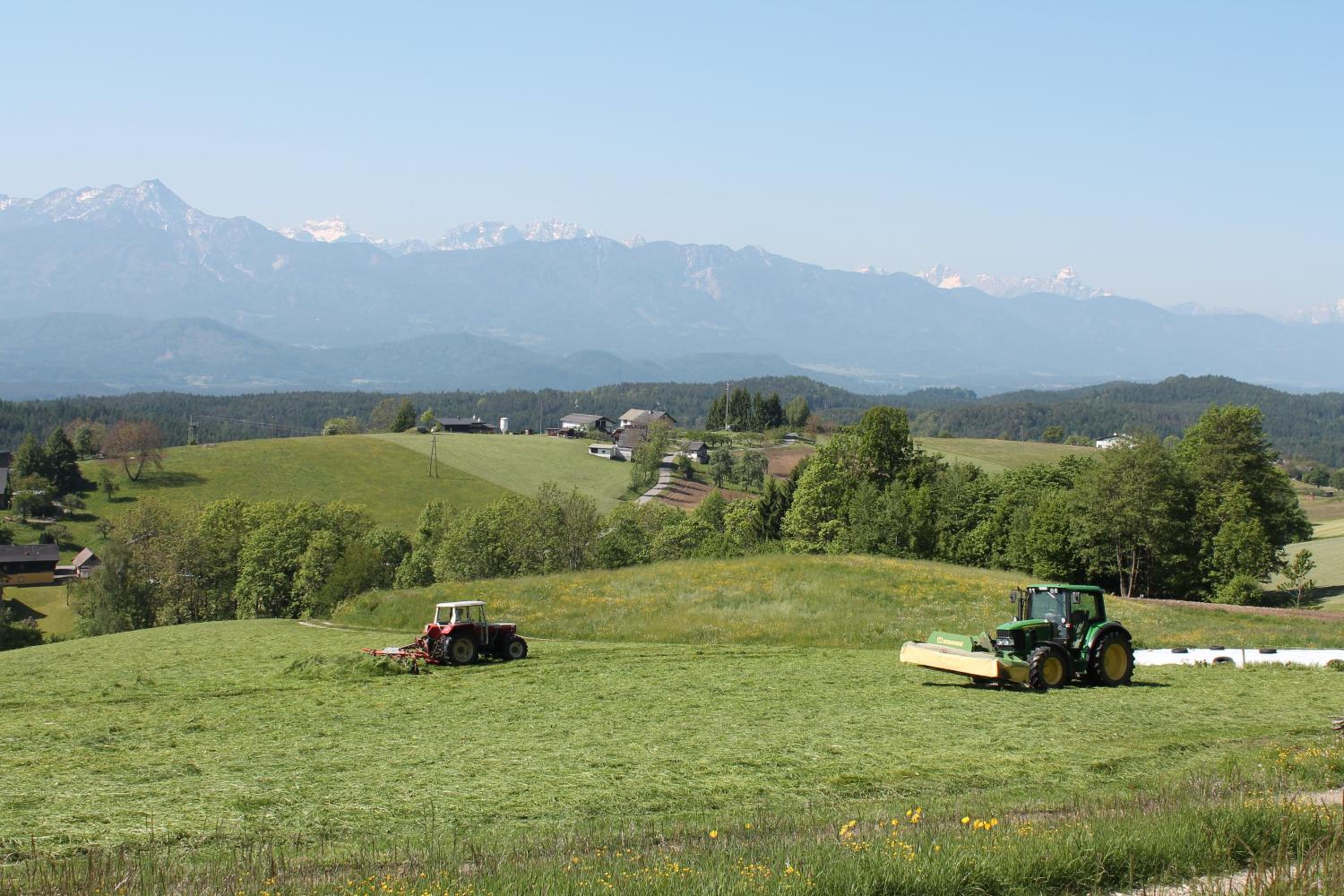 Pleschinhof