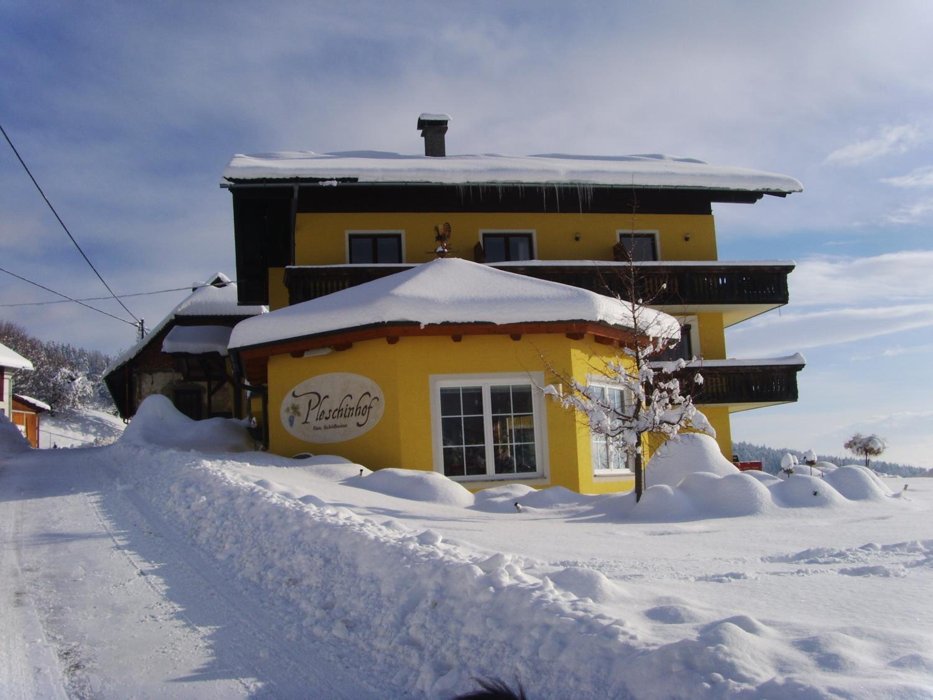 Pleschinhof