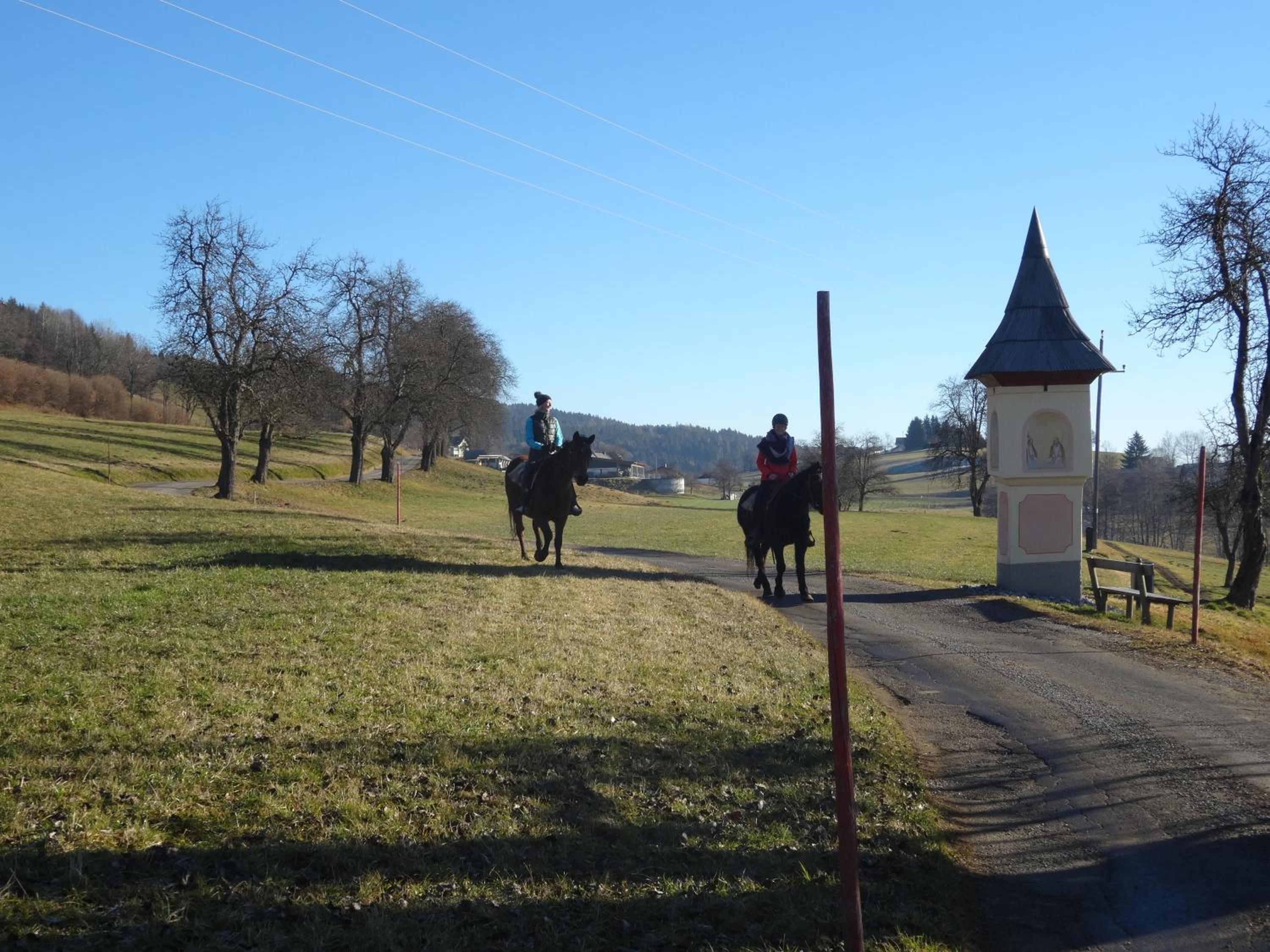 Pleschinhof