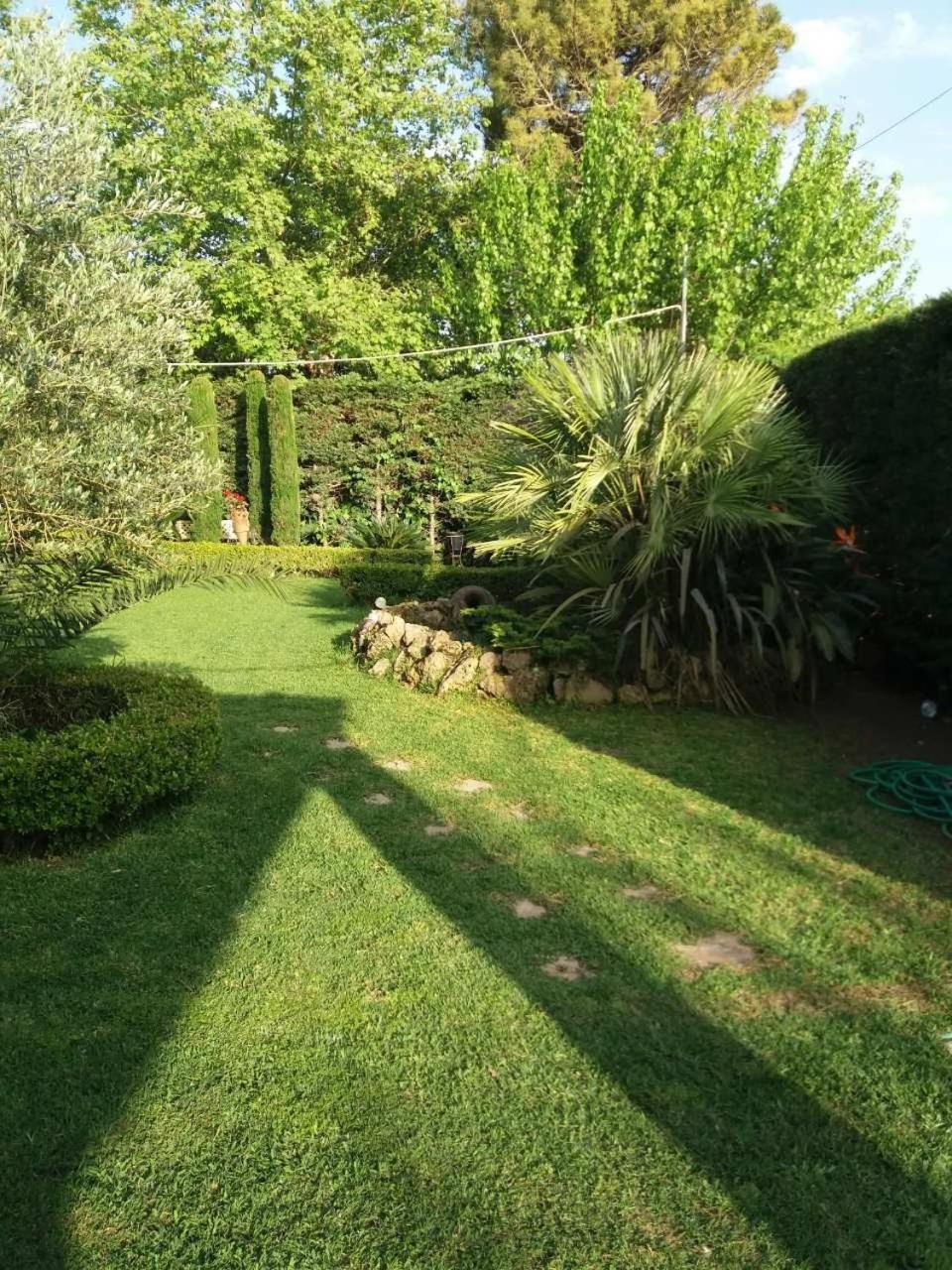 Photo 31