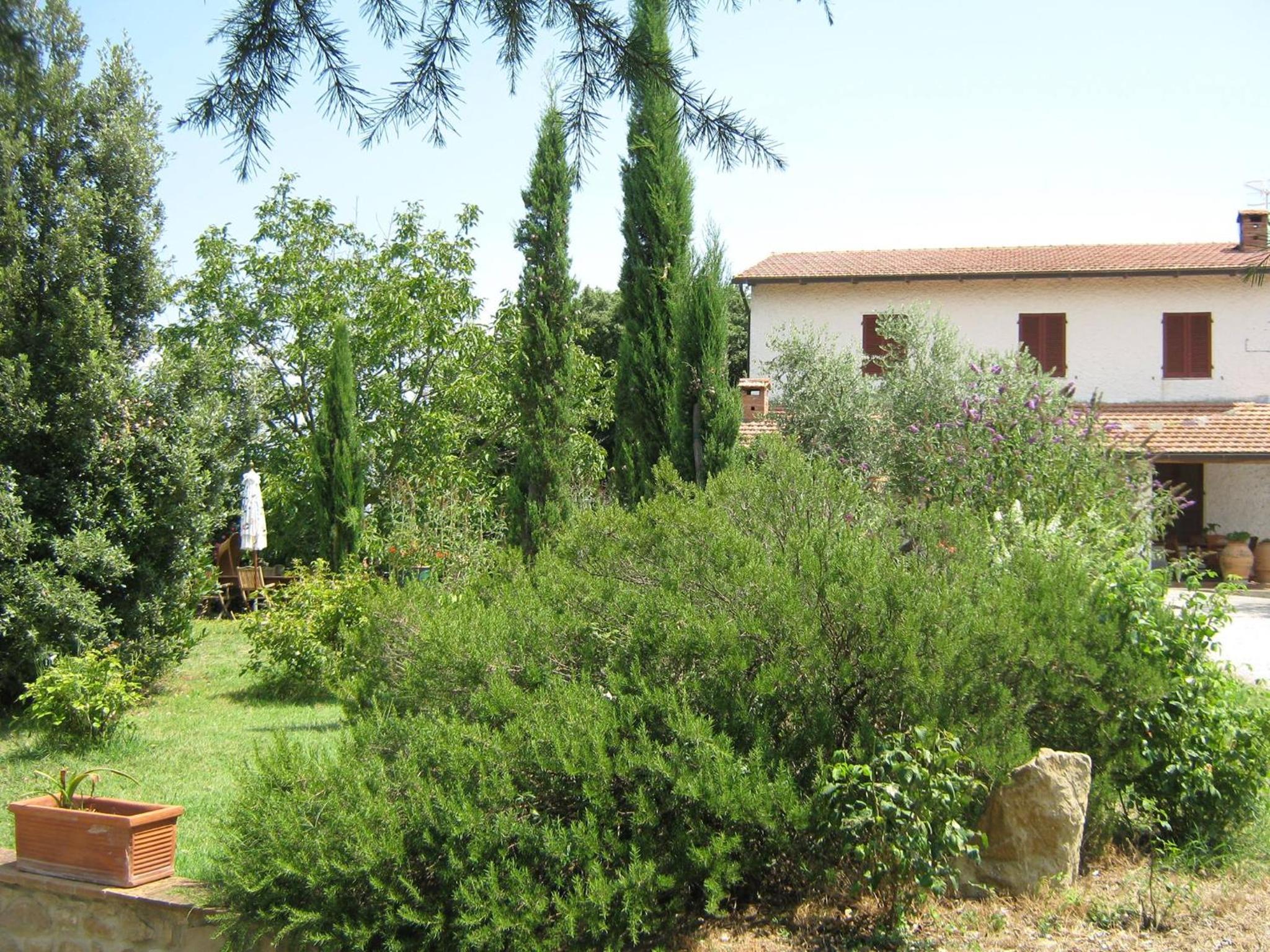 Photo 27