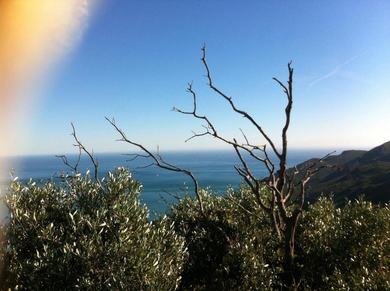 Setúbal Dreams