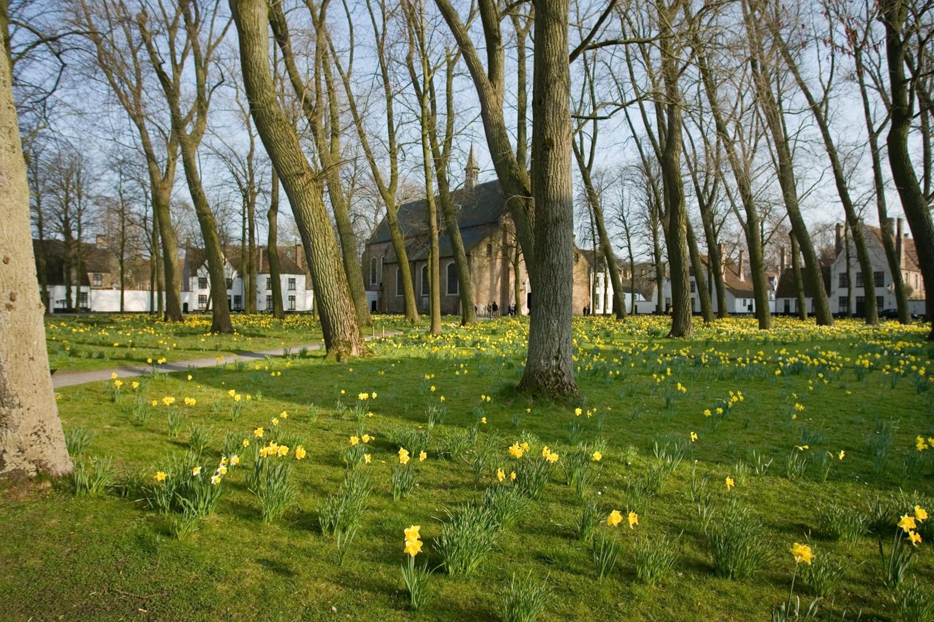 B&B Lievejan