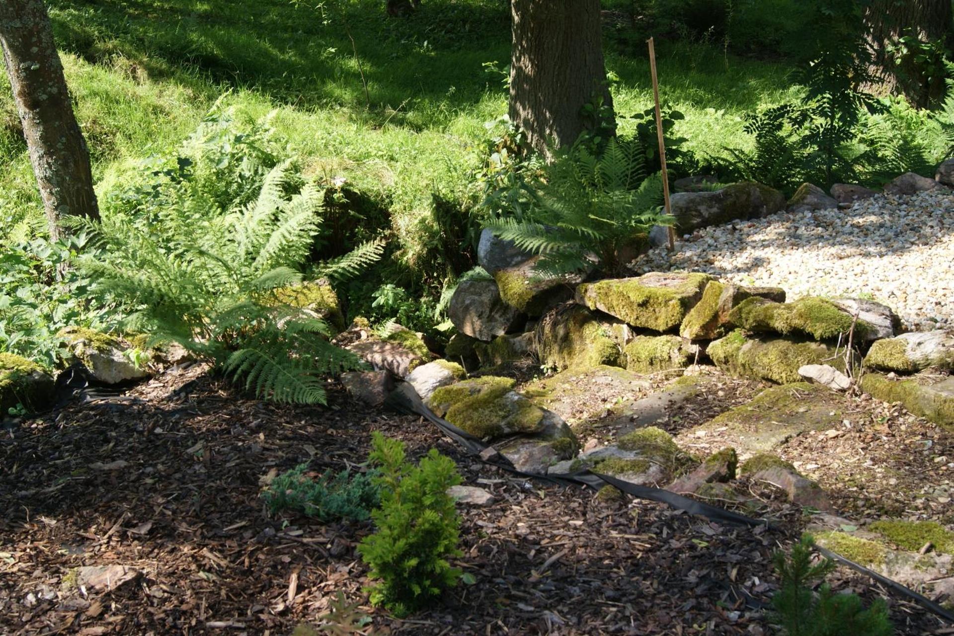 Photo 26
