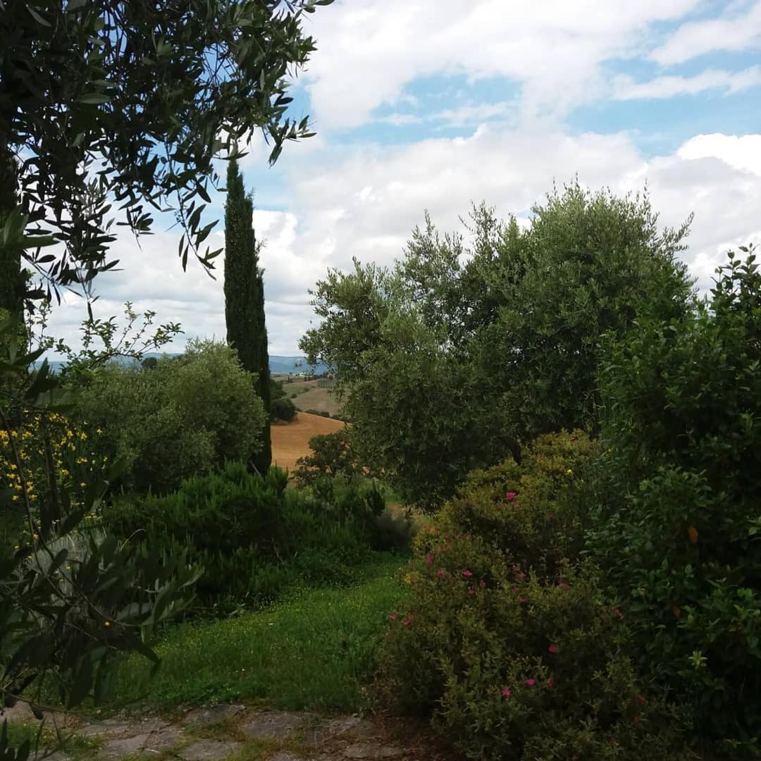 Photo 28