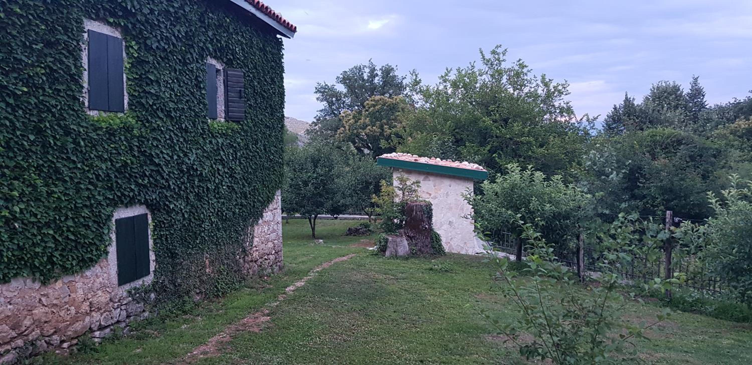 Photo 37