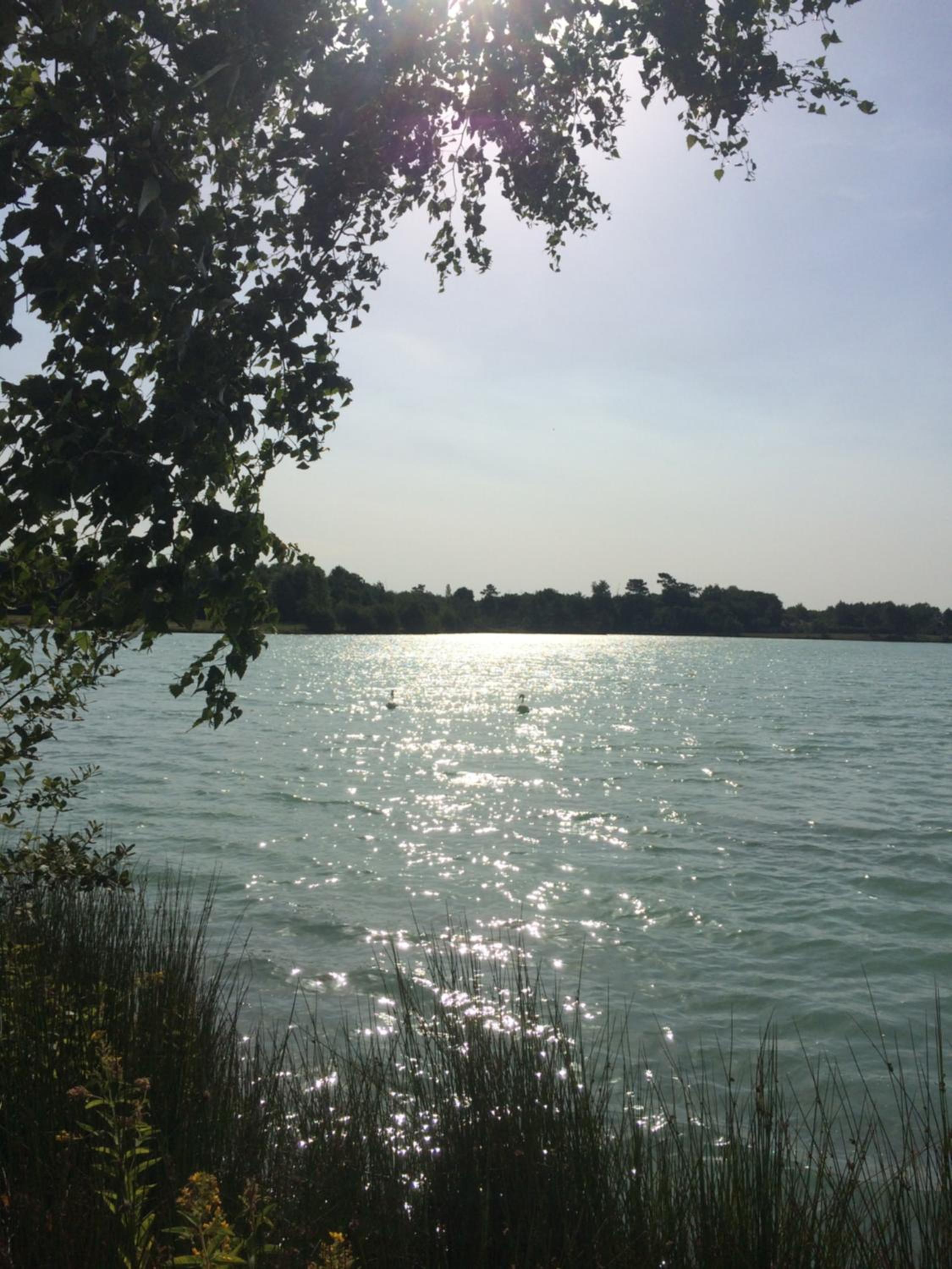 Photo 29