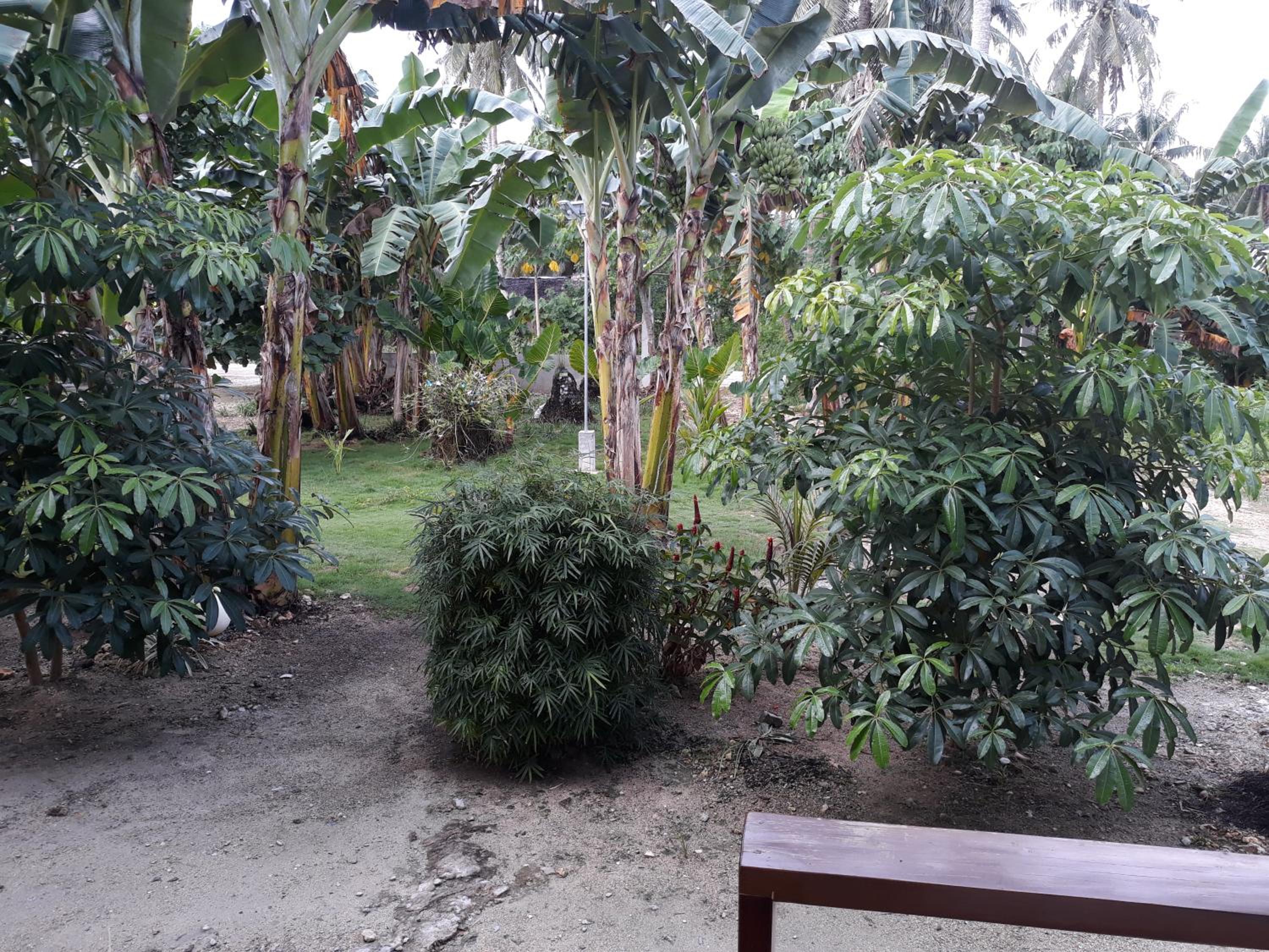Gardenview Homestay Siargao — photo 111