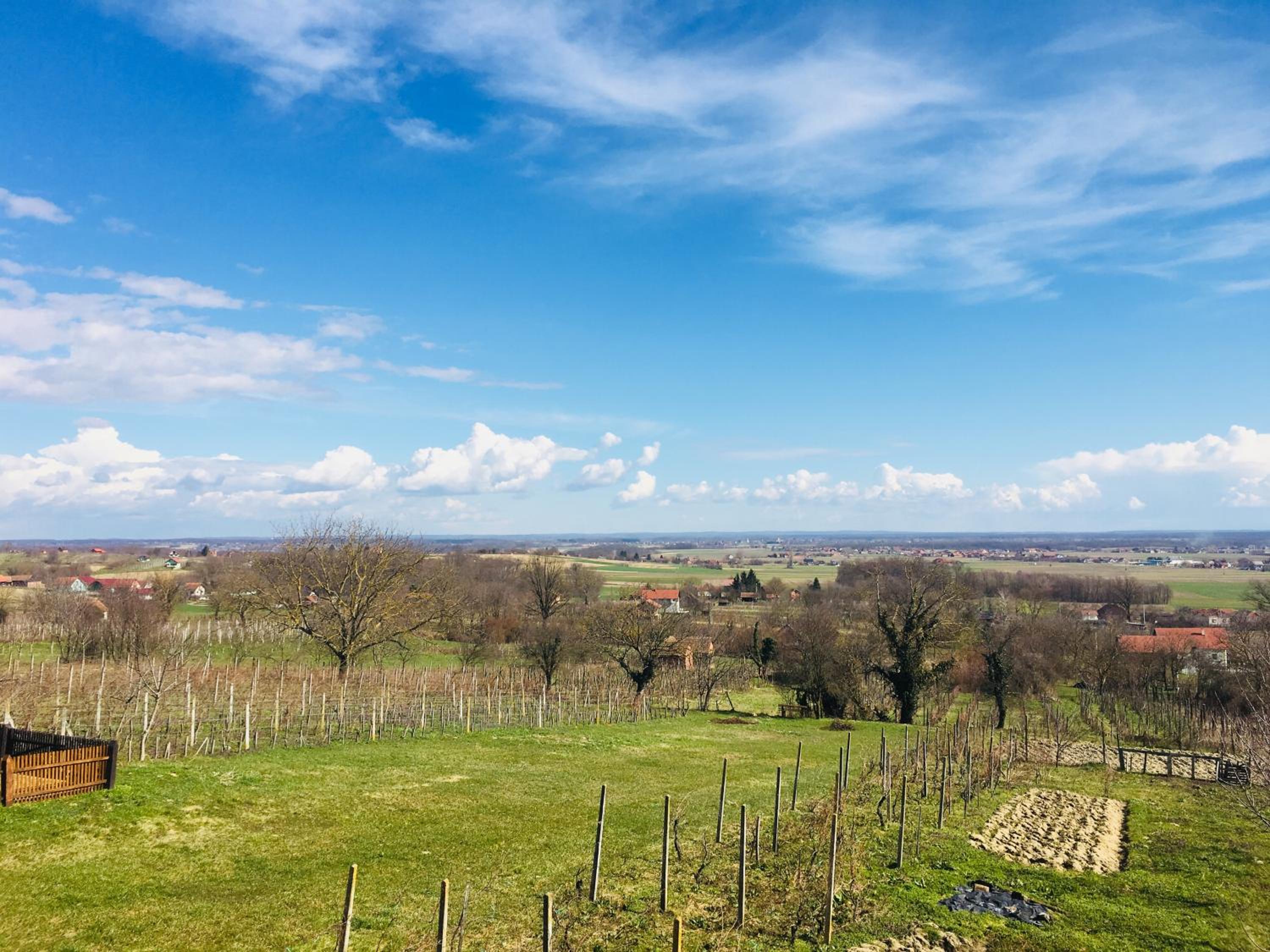 Kuća za odmor Mirna view 5
