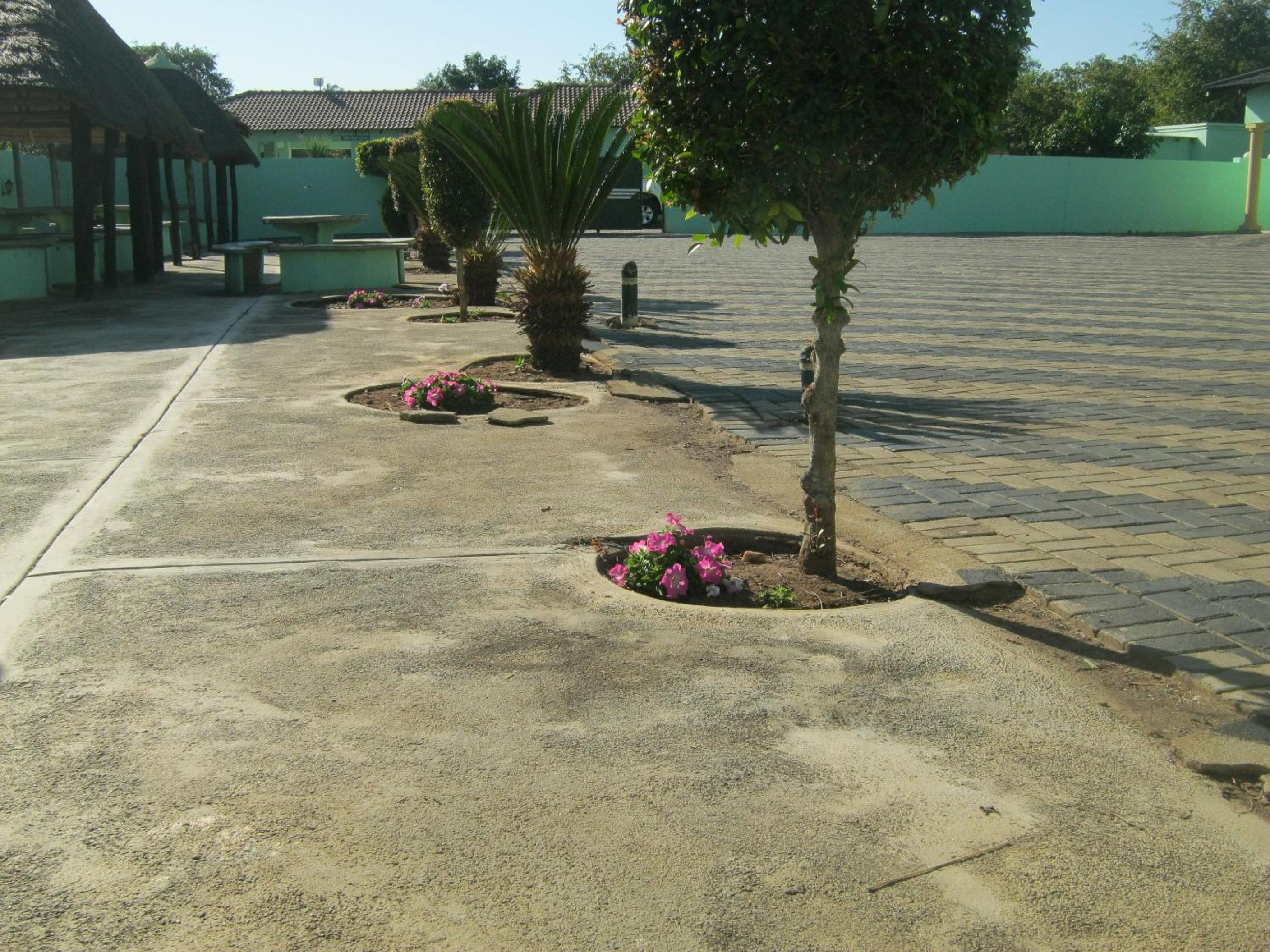 Photo 26