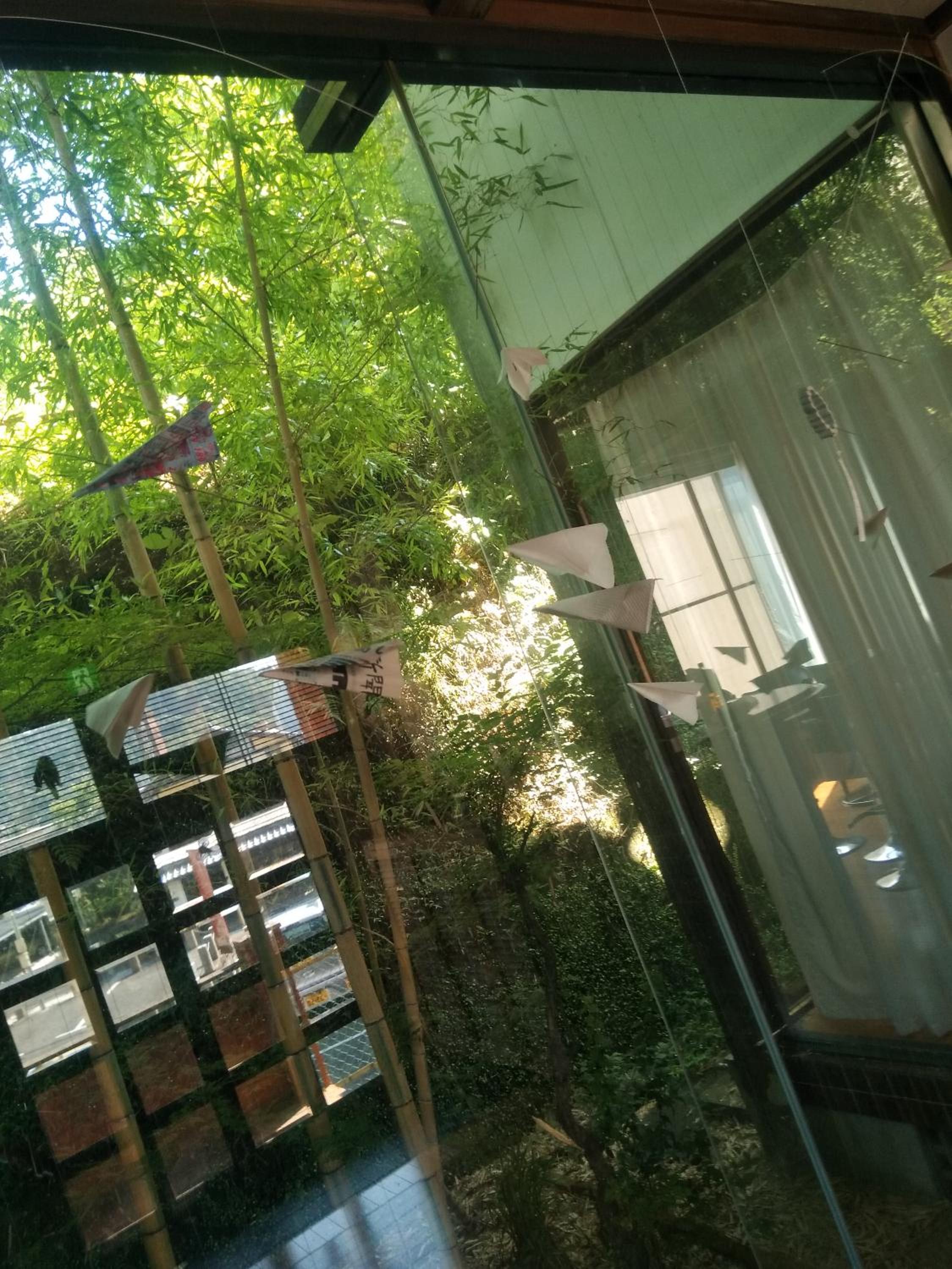 Photo 41