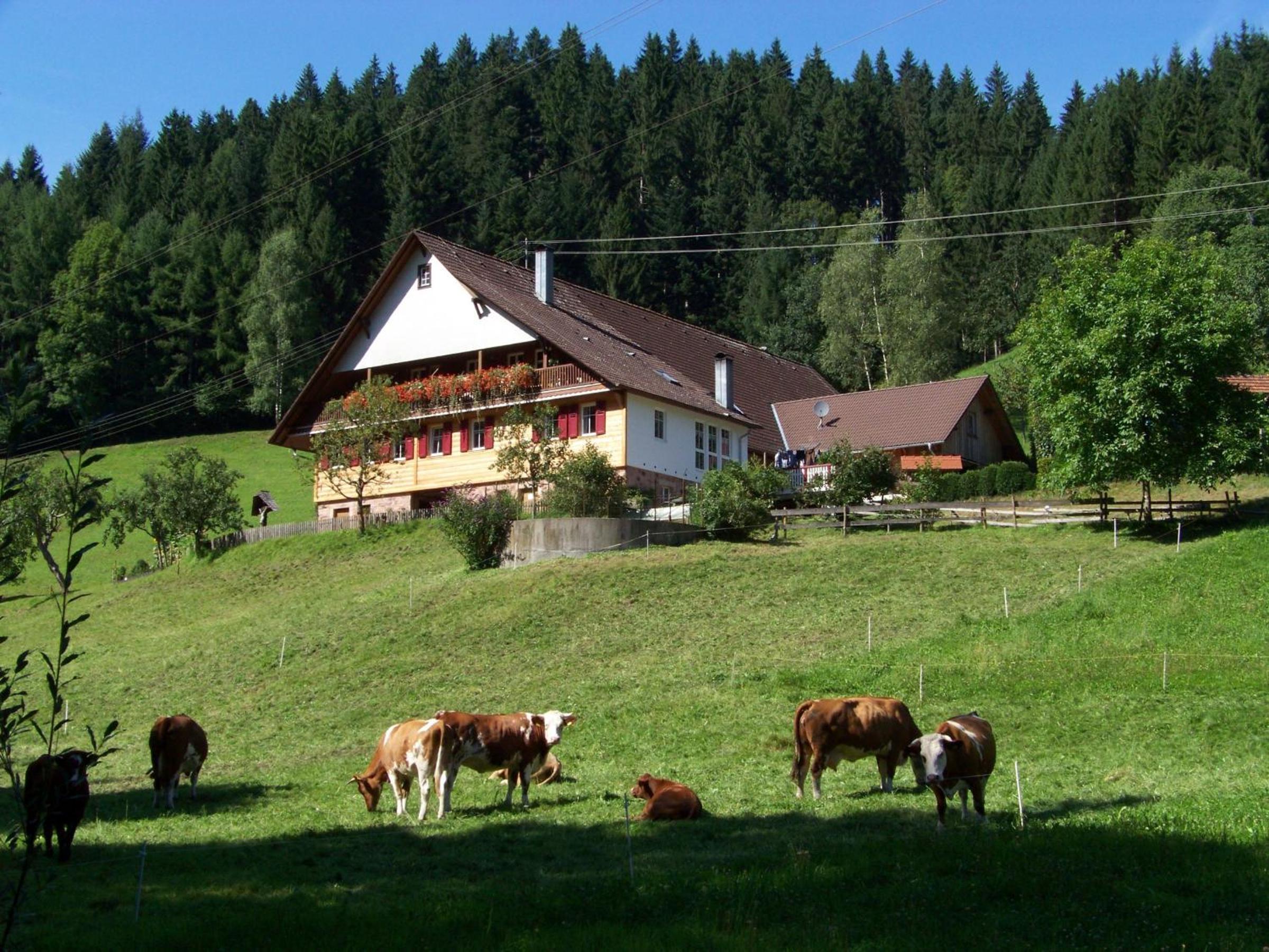 Martinhansenhof view 3
