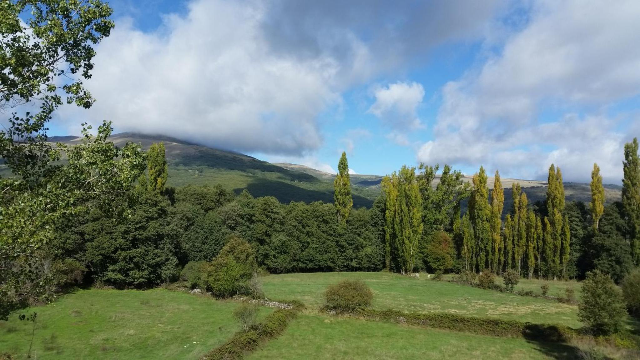 Loboratorio Rural, La Casa de al Lado view 5