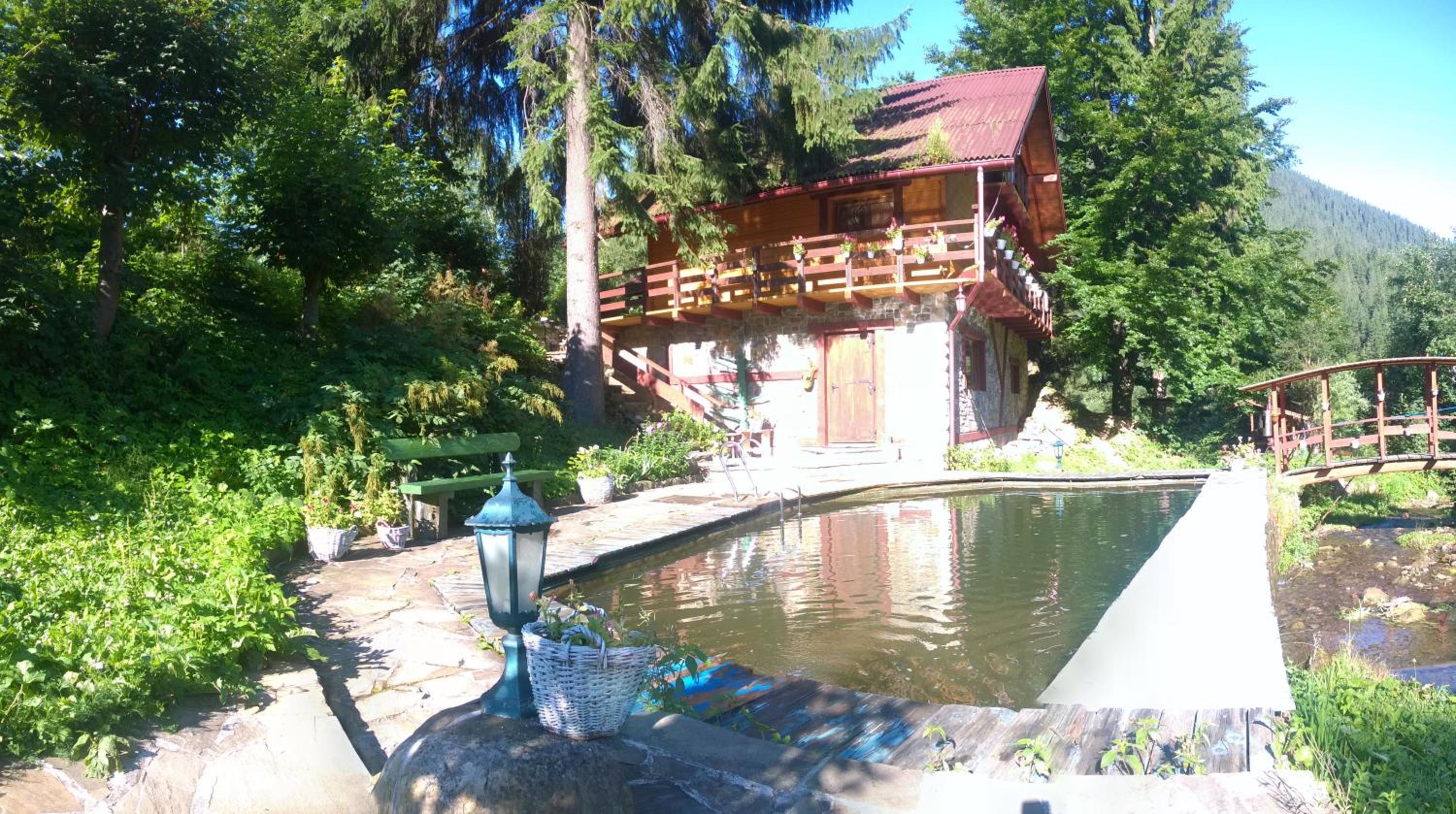 Photo 8