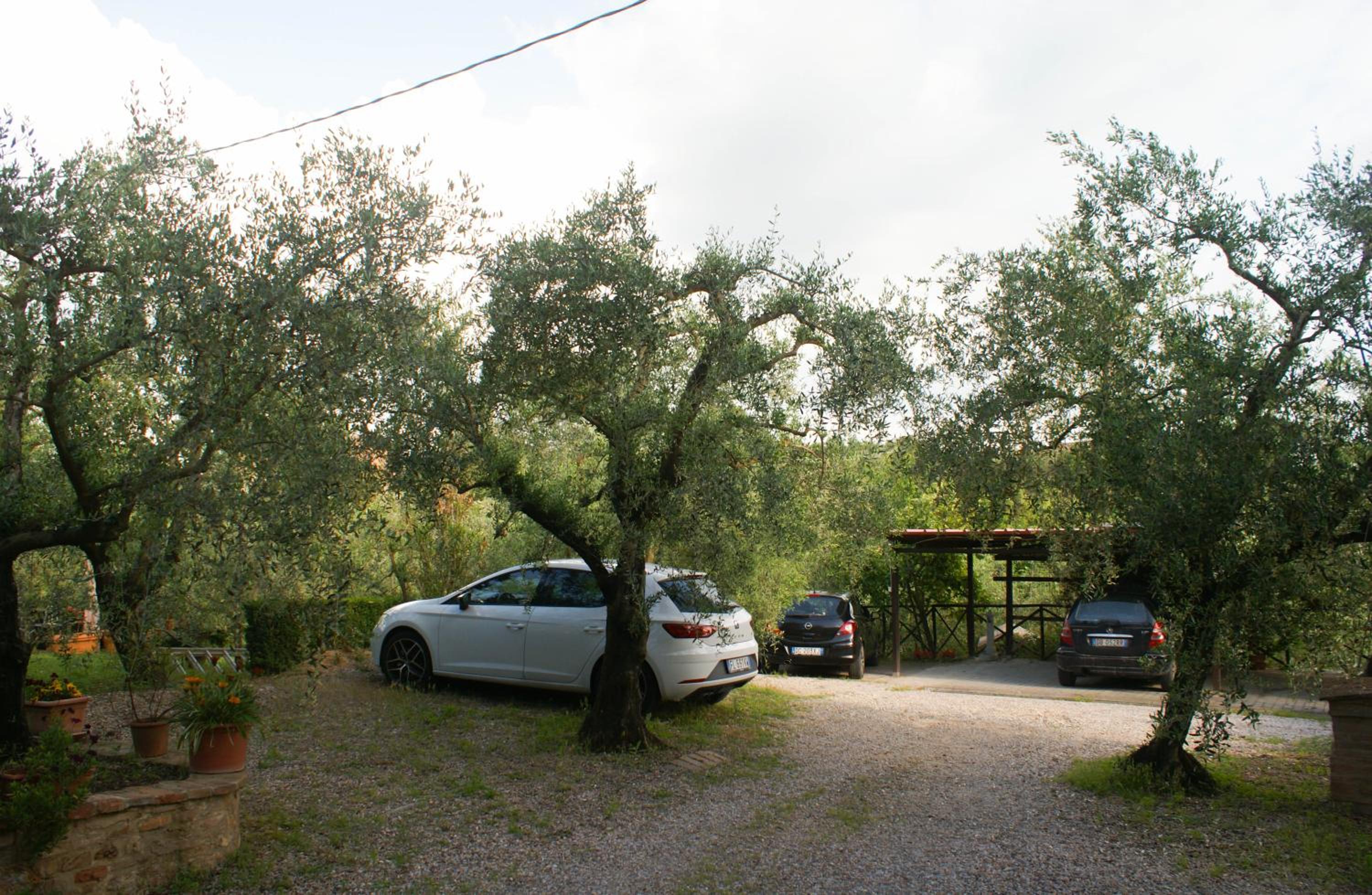 Photo 22