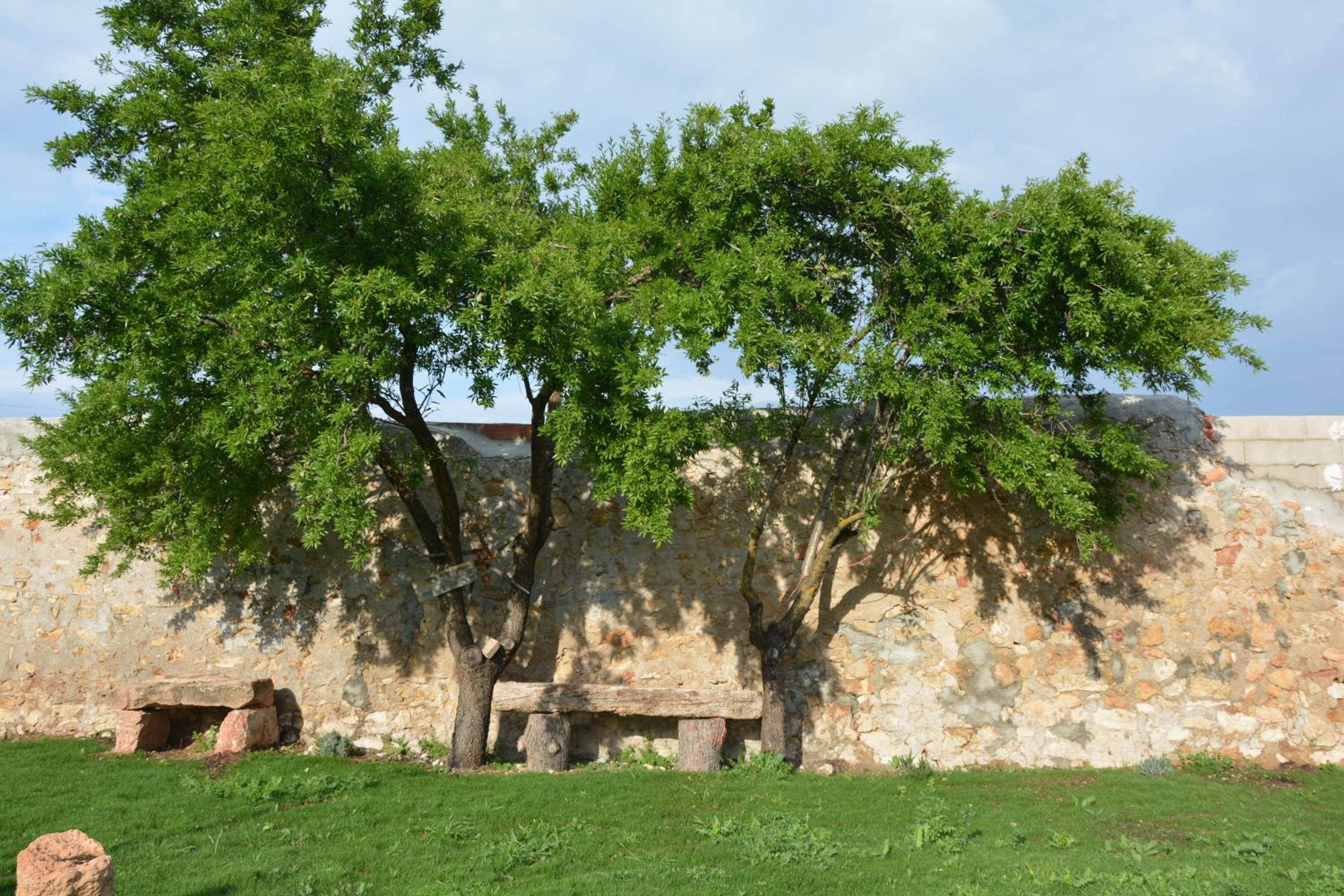 Casa Rural Aromas de la Manchuela